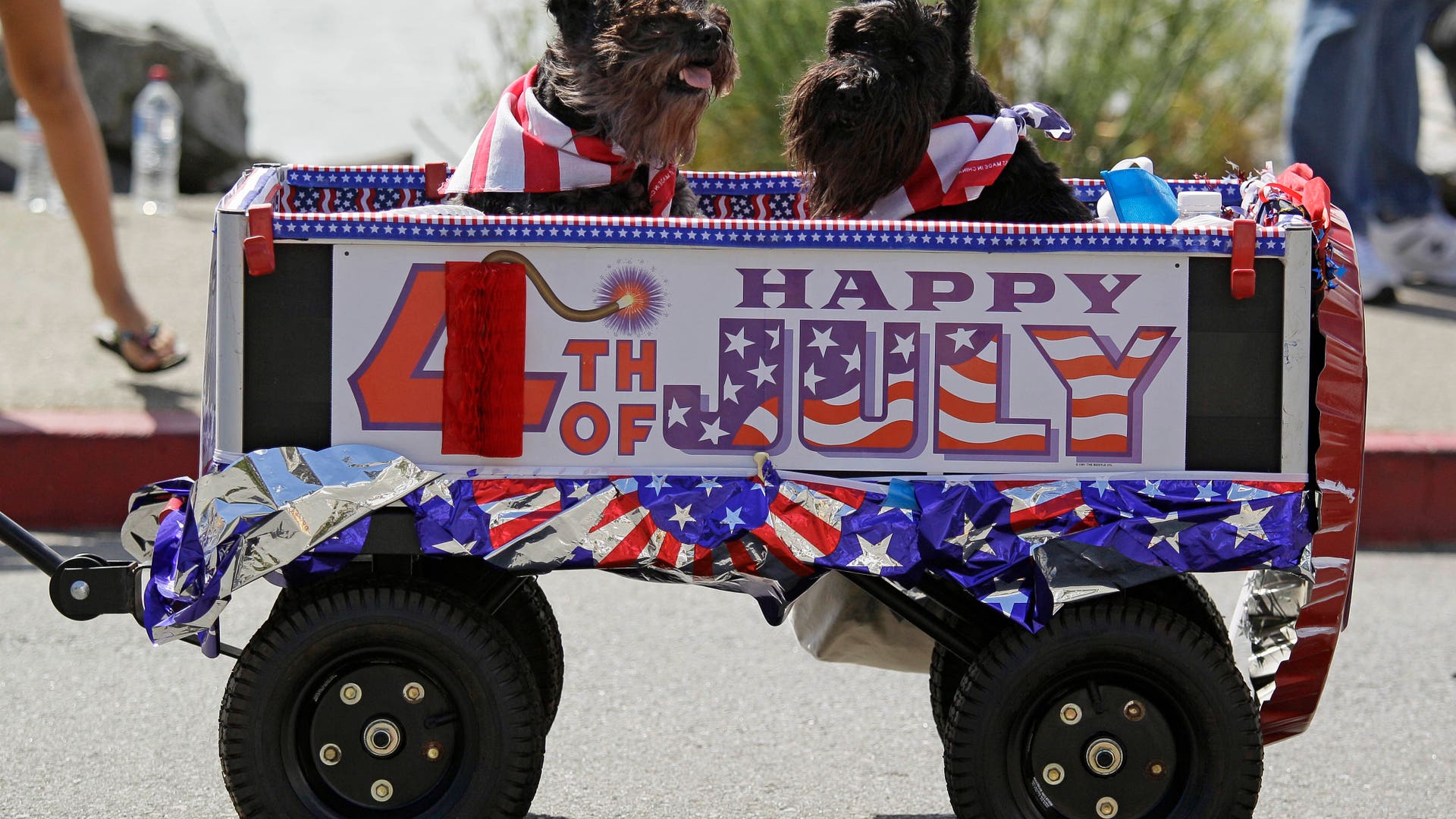 Fourth_of_July_Angu__6_