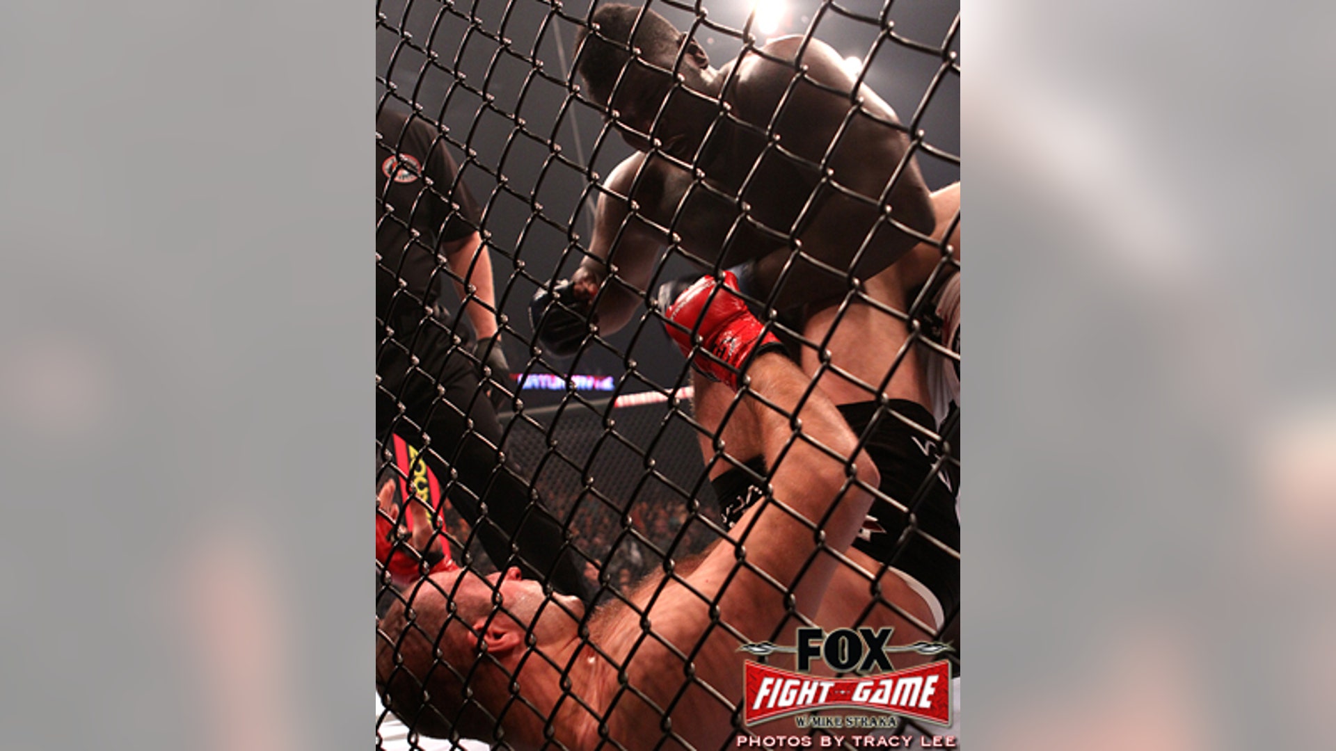 Fox_Fight_Game____Fedor_v__Rogers23