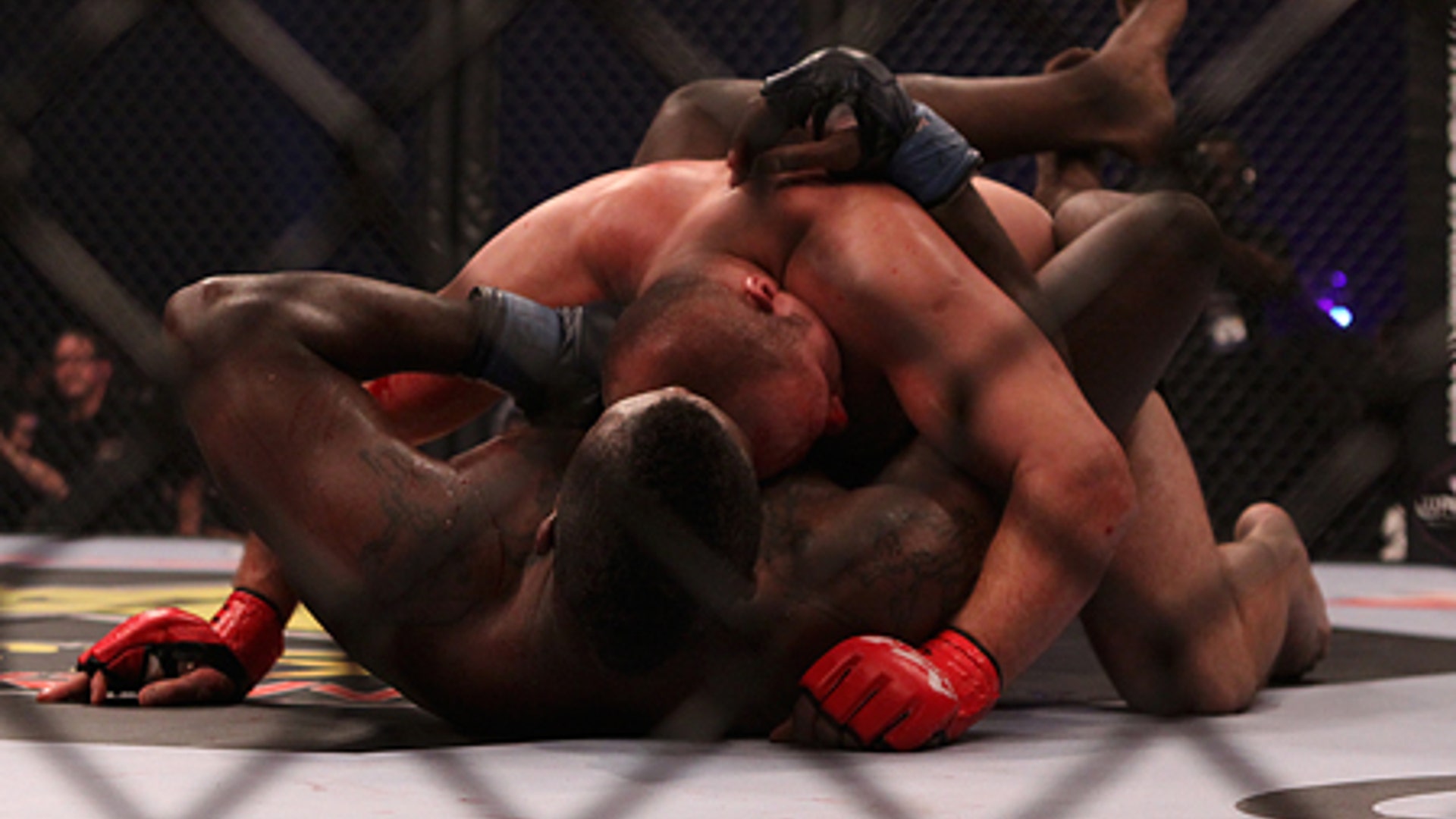 Fox_Fight_Game____Fedor_v__Rogers25