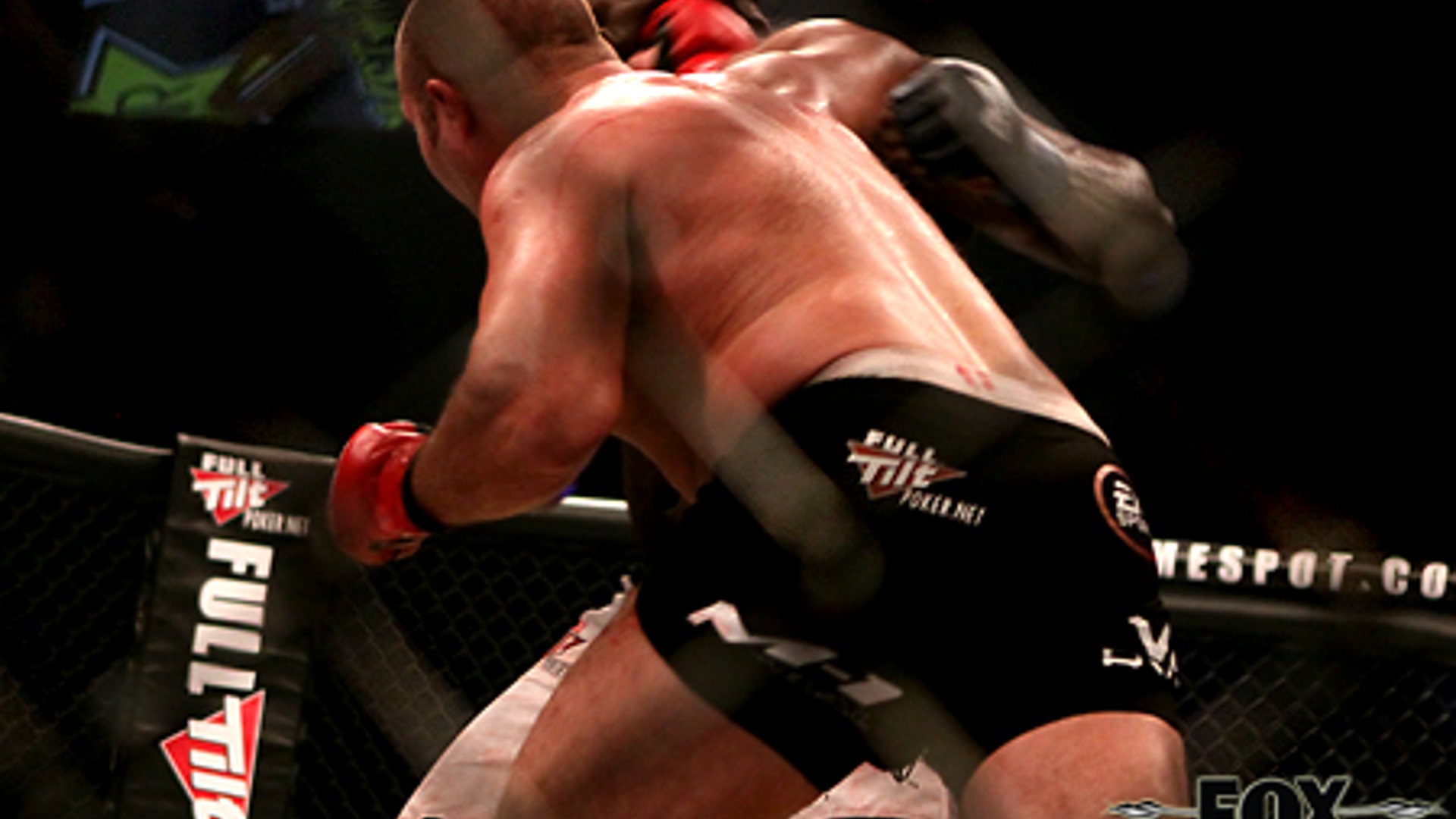Fox_Fight_Game____Fedor_v__Rogers3