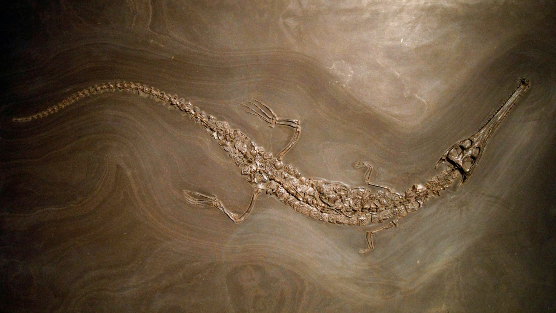 Parisian Dinosaur Auction