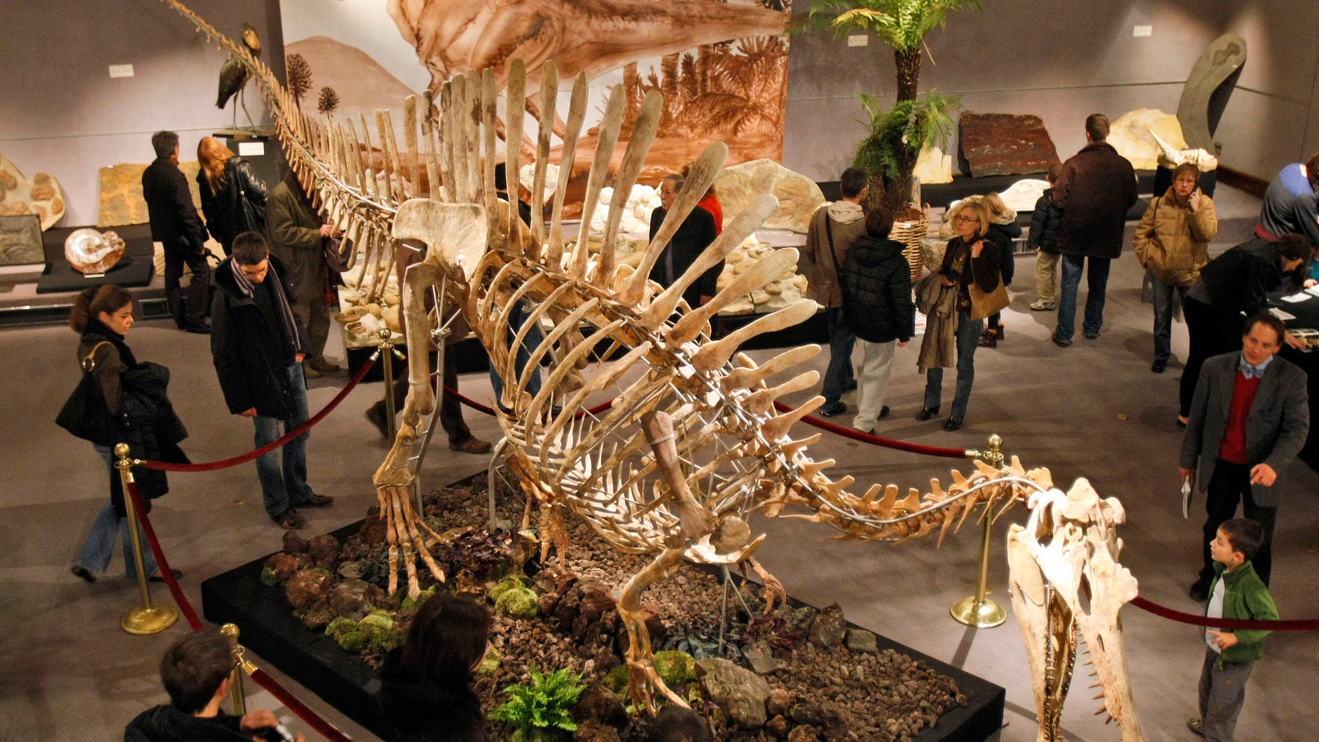 Parisian Dinosaur Auction