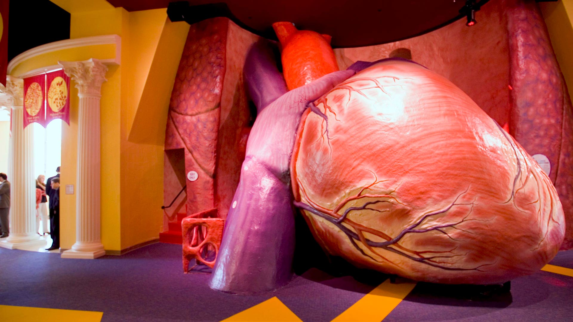 Night (and Day) at the Museum | Fox News