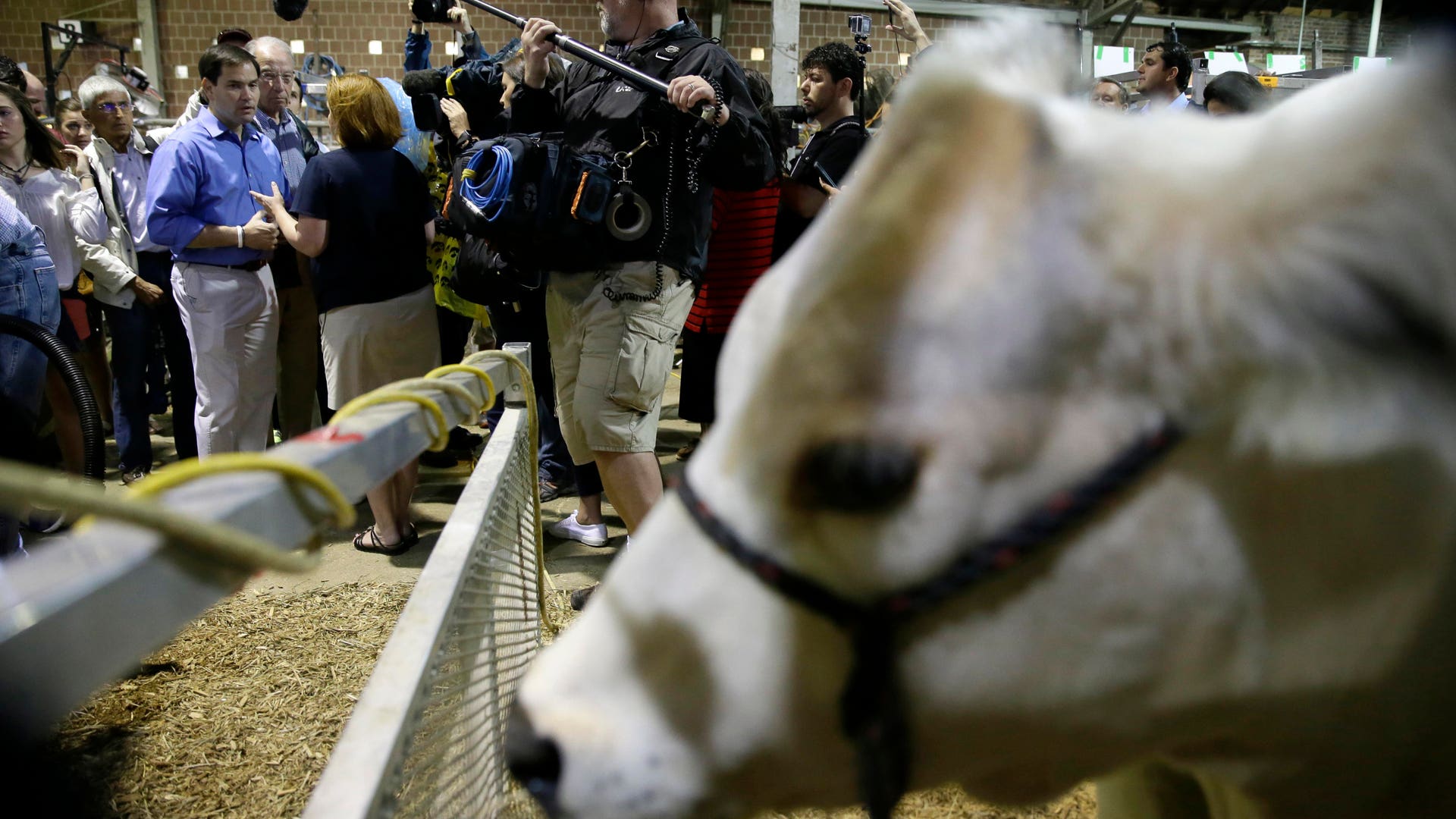 GOP_2016_Rubio_Vros__14_