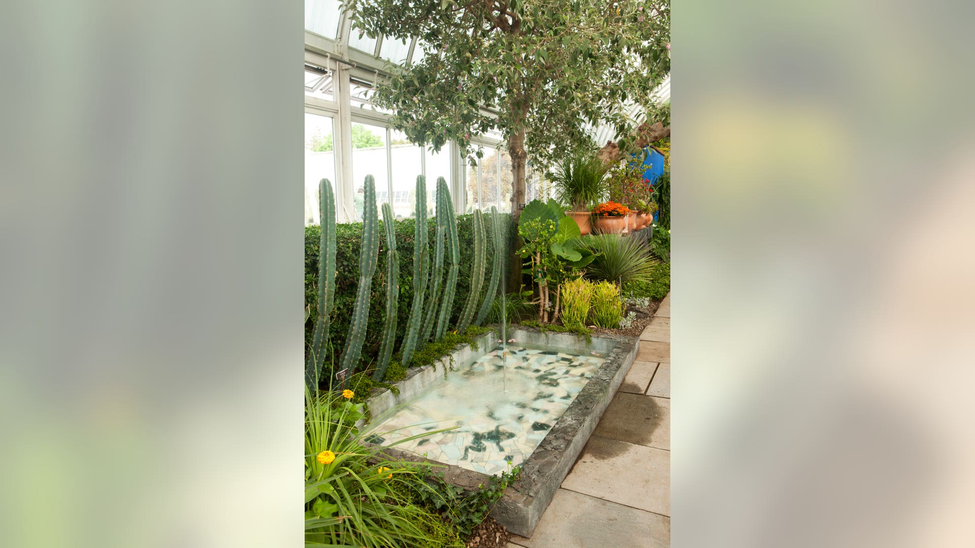 Gardening_Frida_s_Gar_Vros__3_