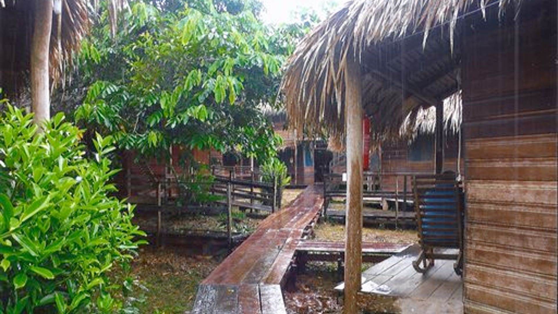 Gateway_to_Amazon__1_