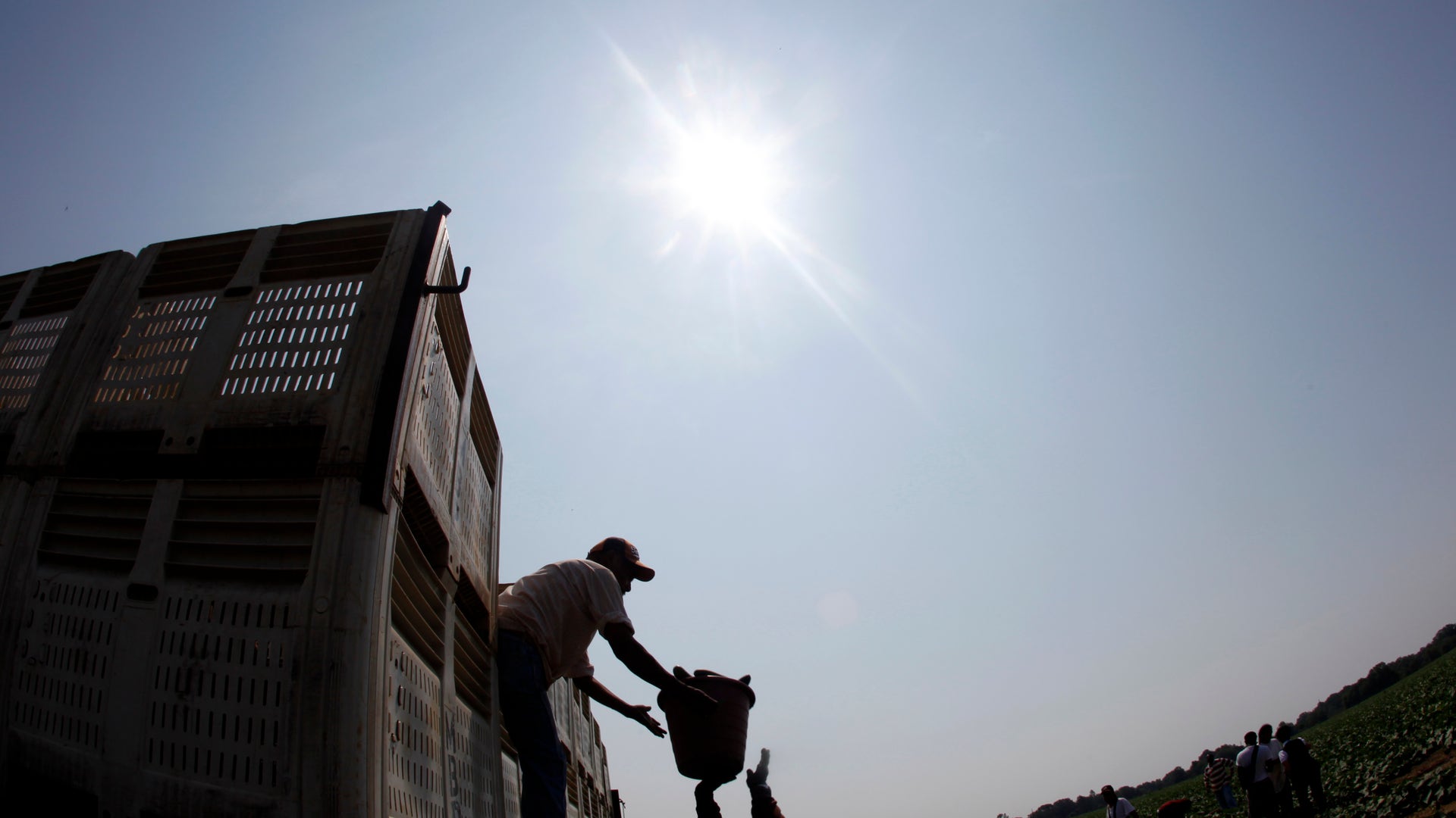 Georgia_Criminal_Harvesting_4