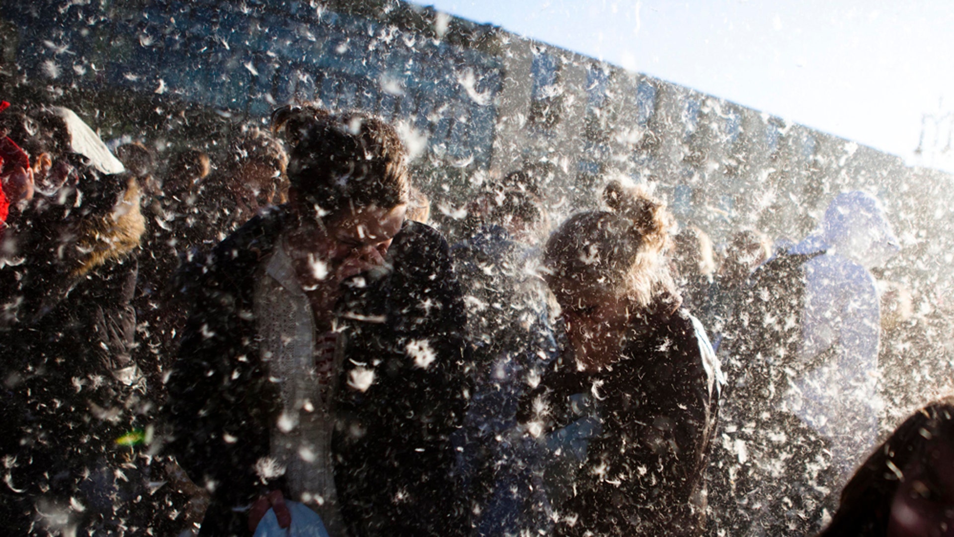 Germany Pillow Fight