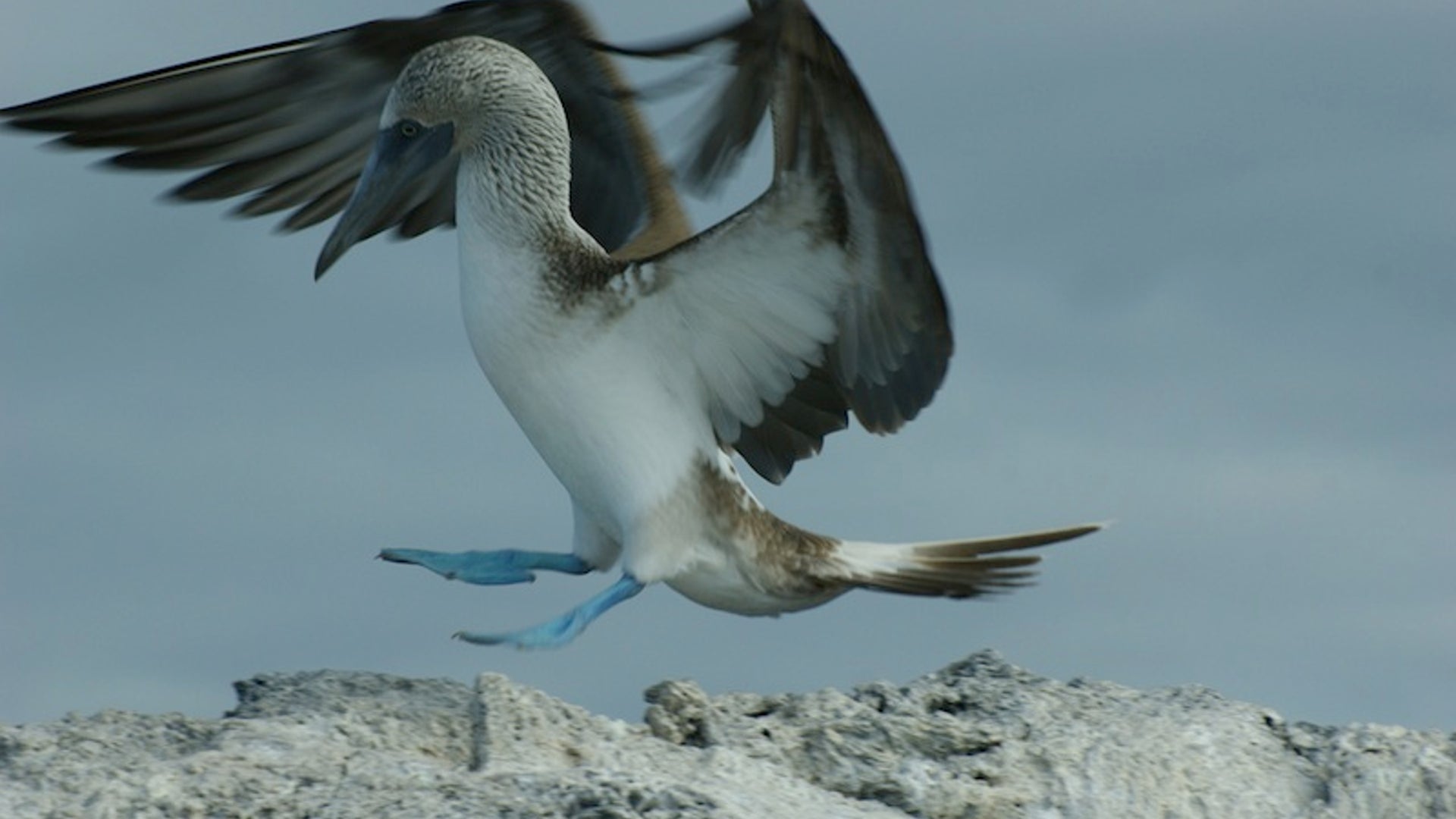 Get_exclusive_access_