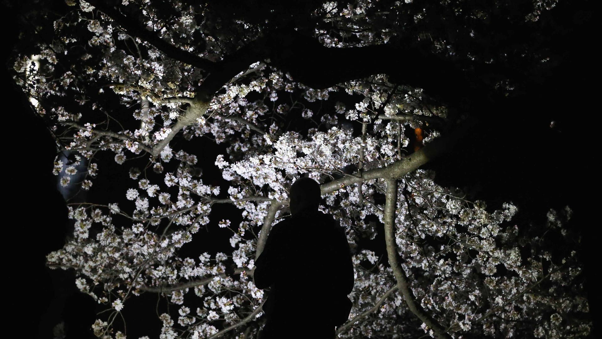 GettyImages_517204462