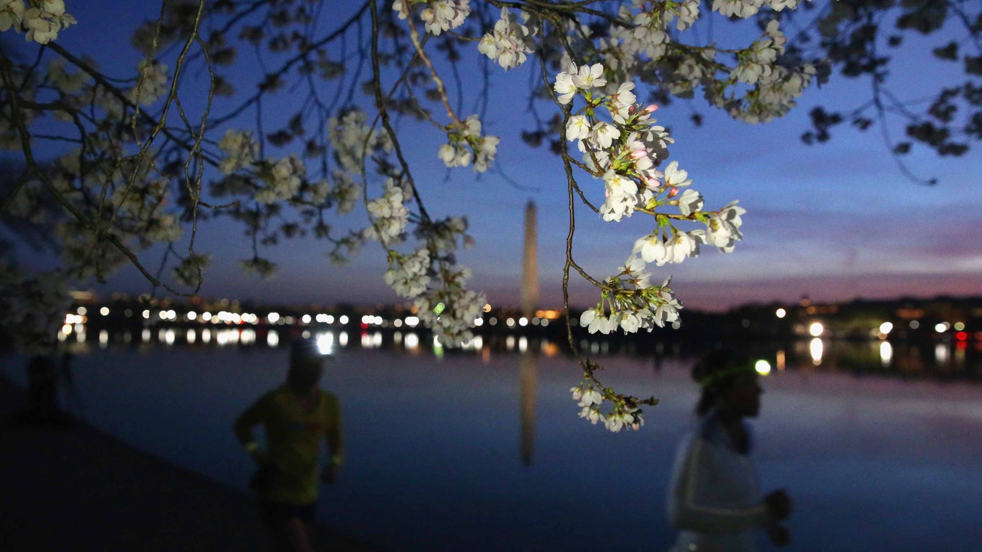 GettyImages_517204480