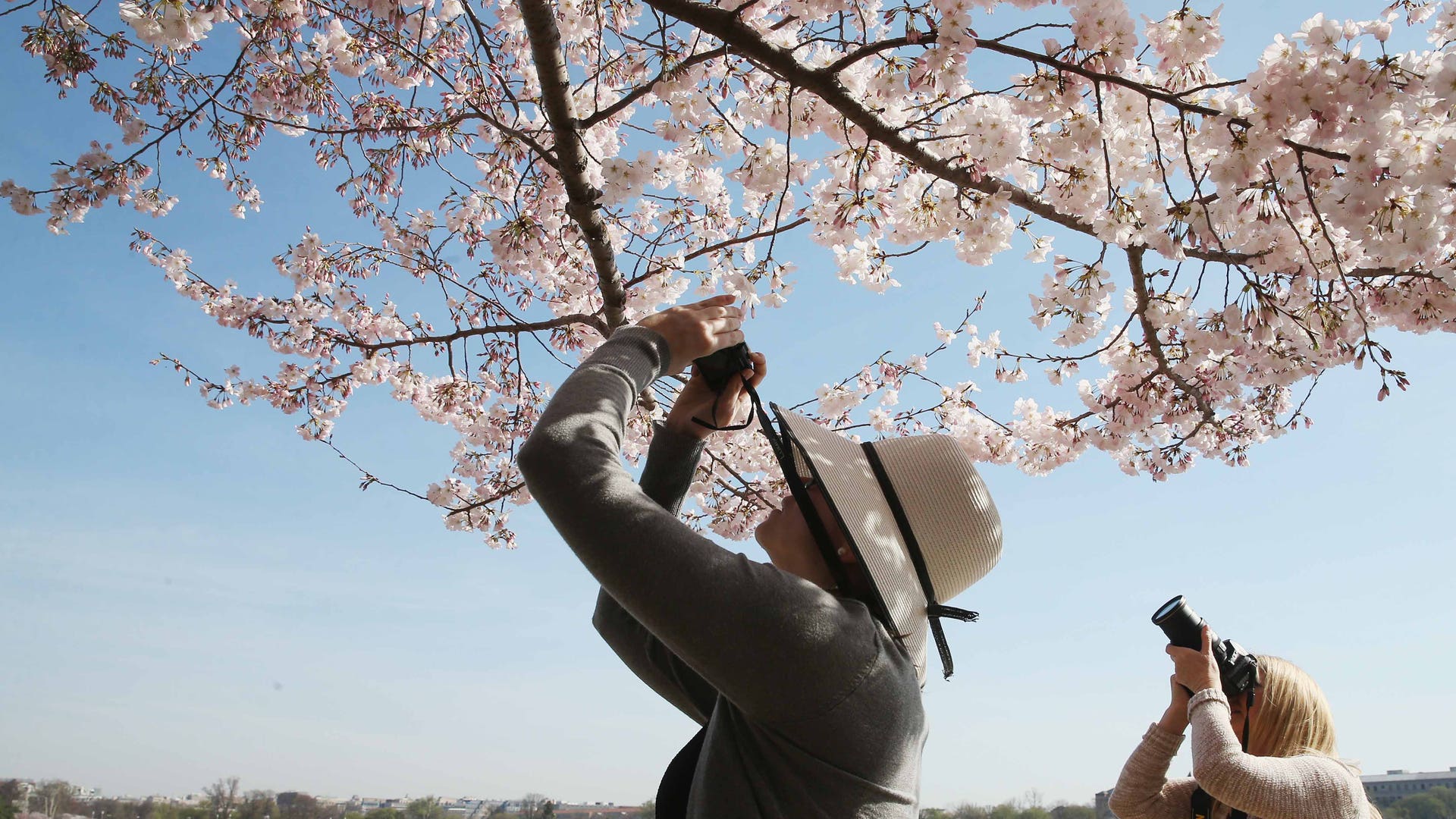 GettyImages_517218440