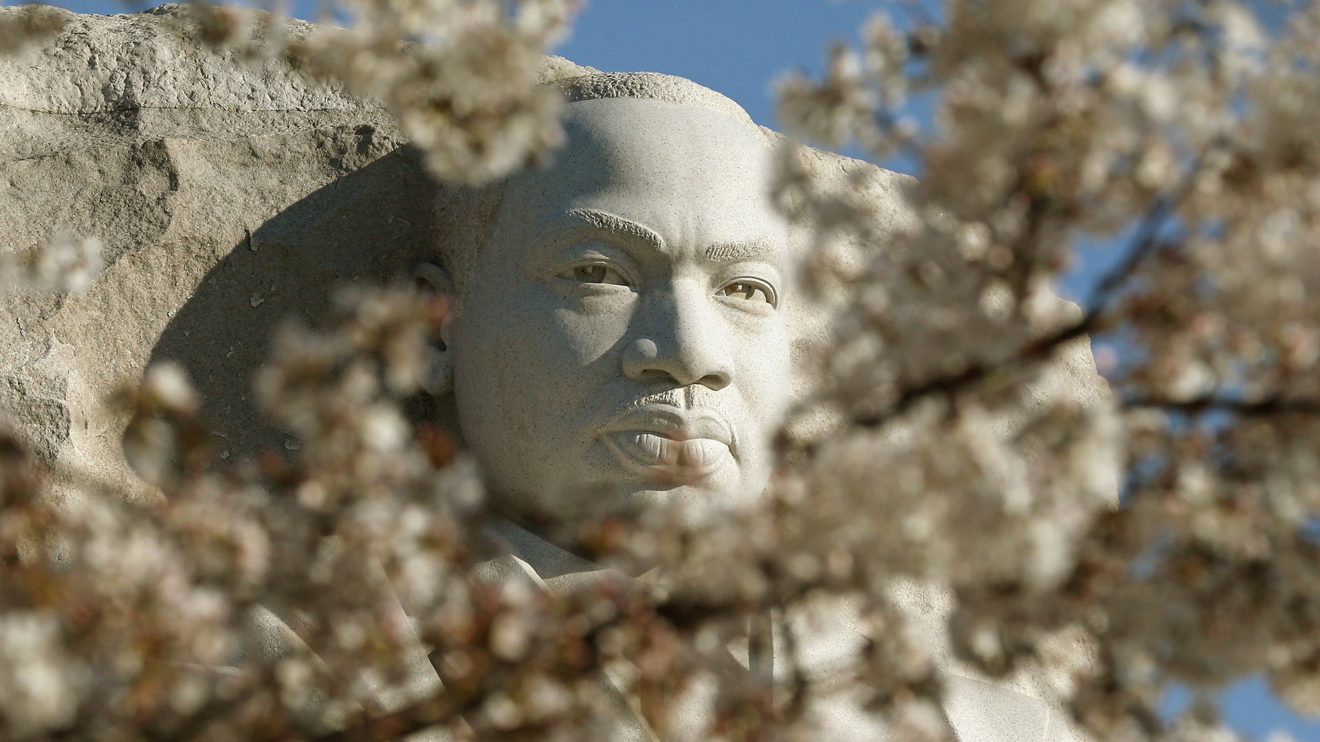 GettyImages_517218454