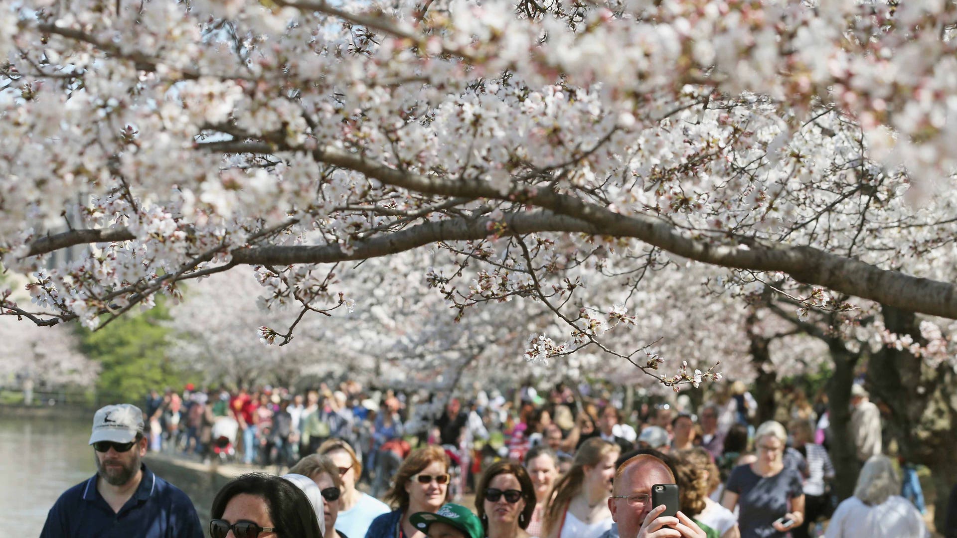 GettyImages_517253176