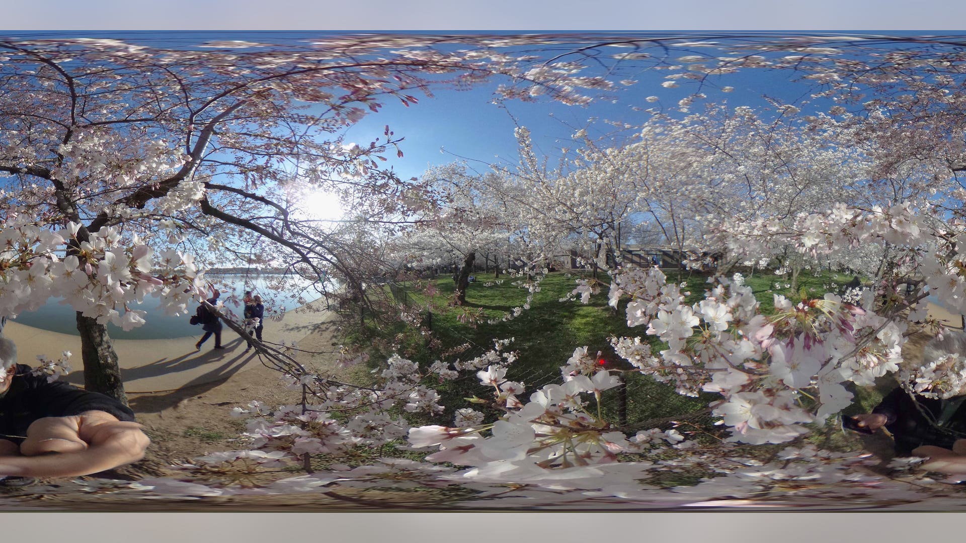 GettyImages_517316768