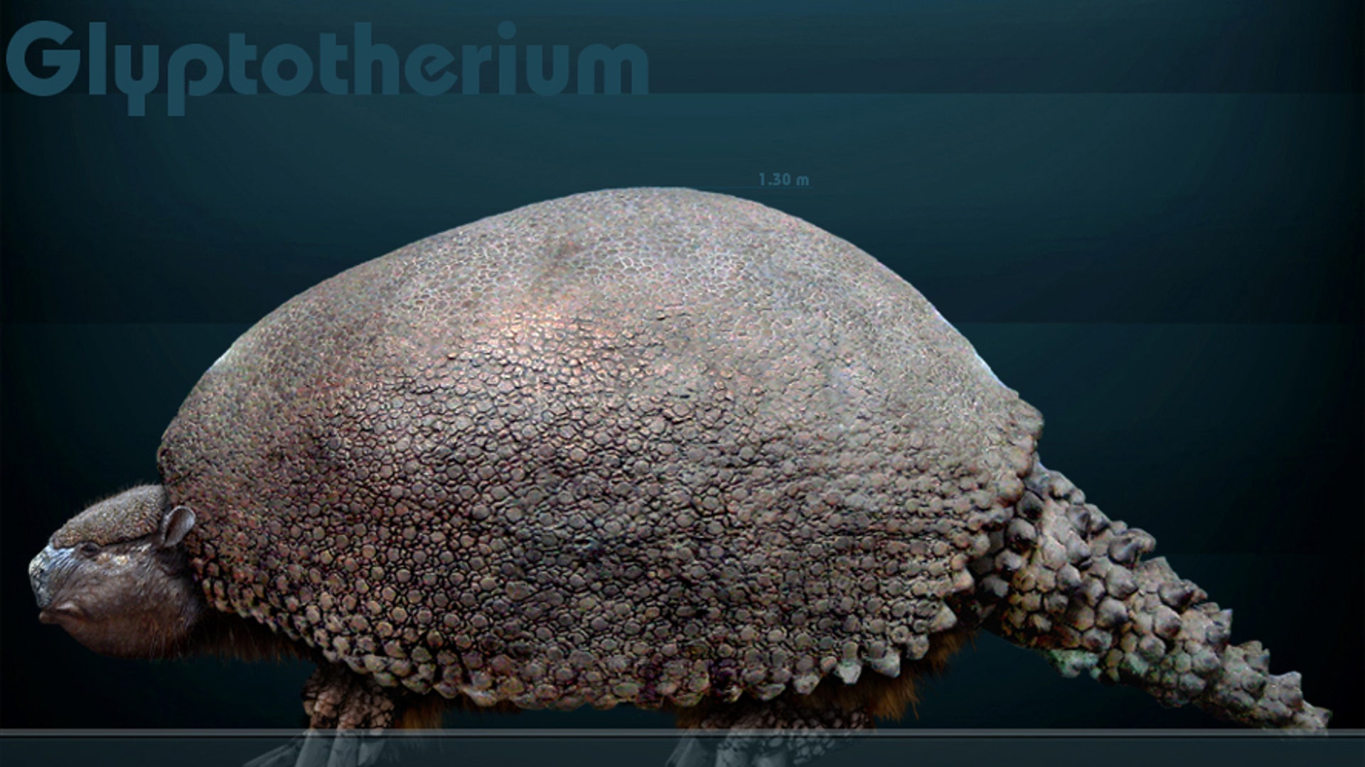 Glyptotherium_by_serchio25