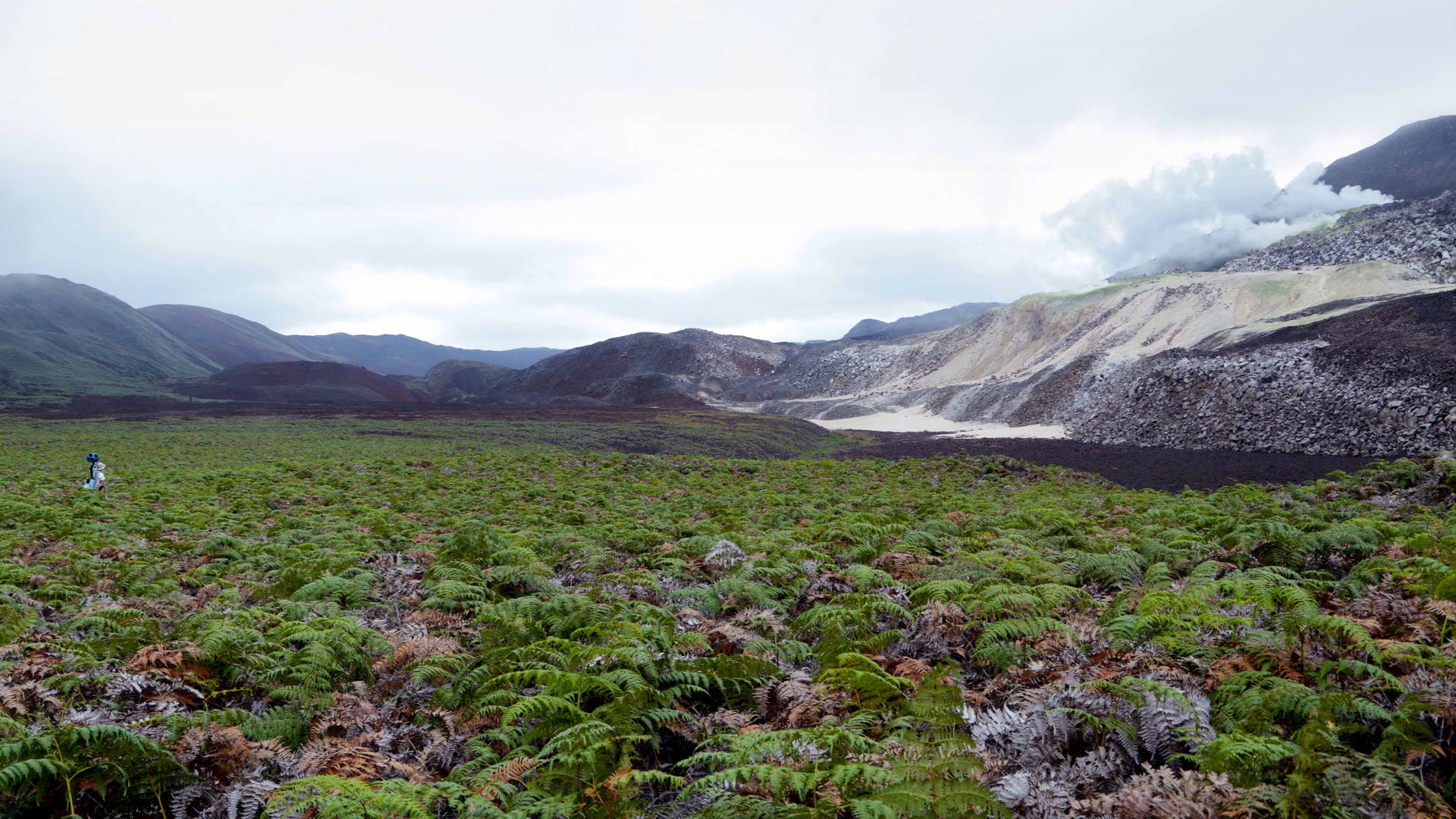 Google Maps Galapagos Islands On Land And Sea | Fox News