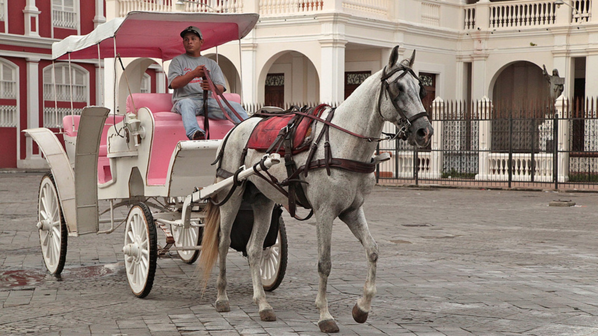 Granada_Carriage_Ride