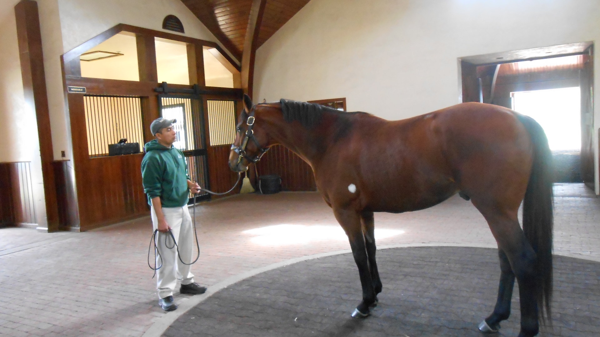 Groom_with_Big_Brown_at_Three_Chimneys