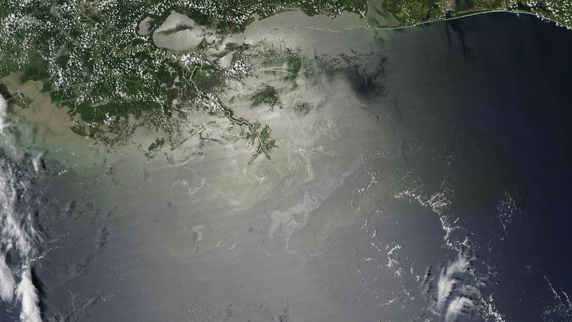 Gulf_Oil_Spill_July_28