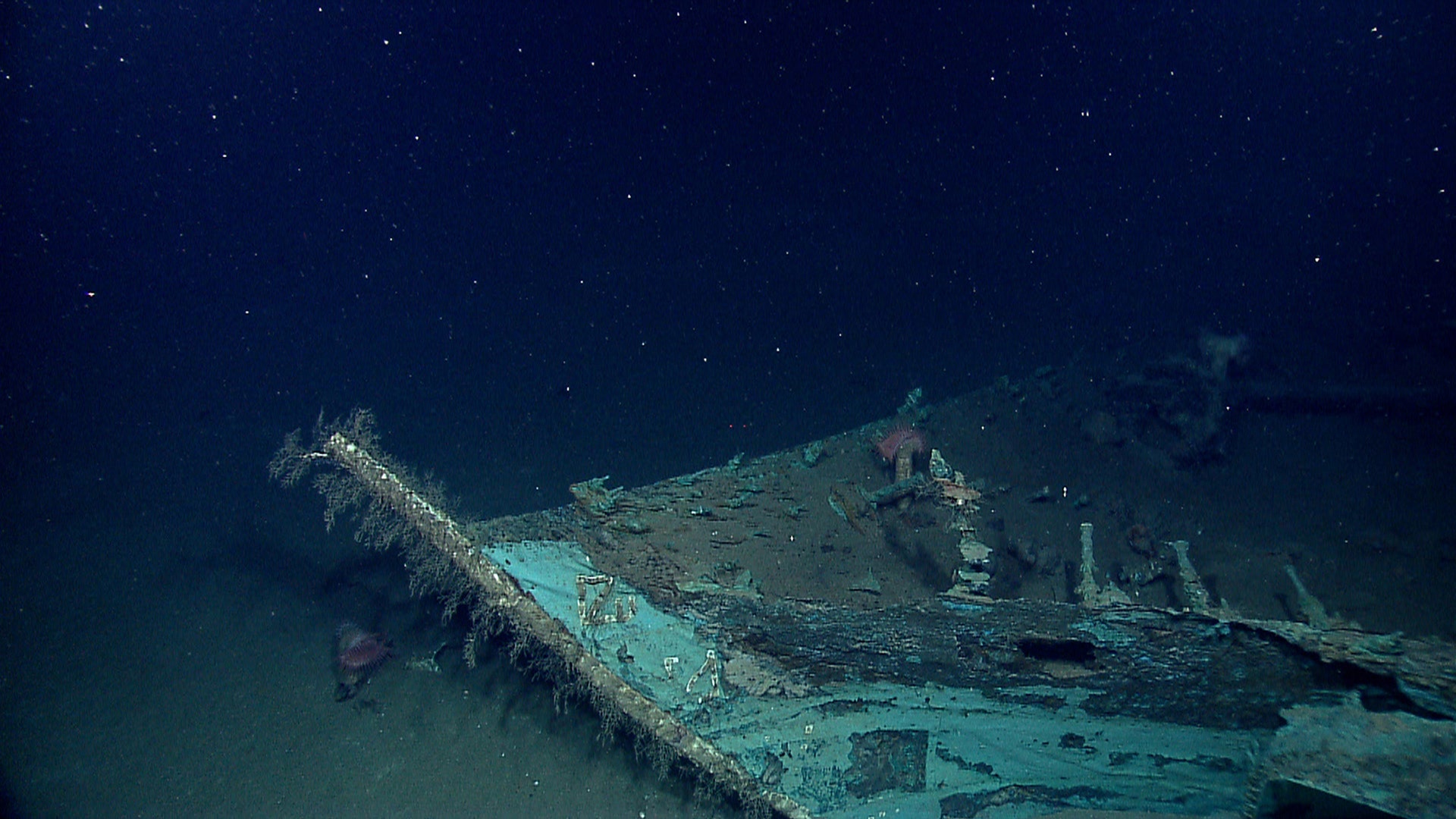 Gulf_Shipwreck_Sala_3