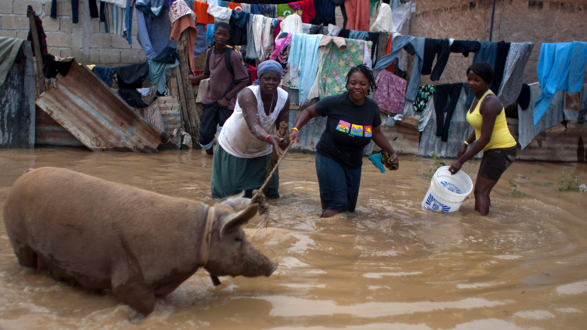 Haiti_Isaac_Grat__1_