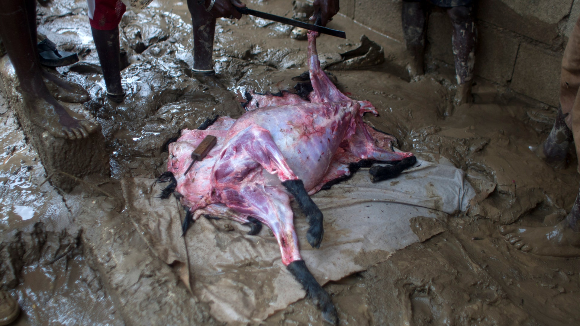 Haiti_Isaac_Grat__3_