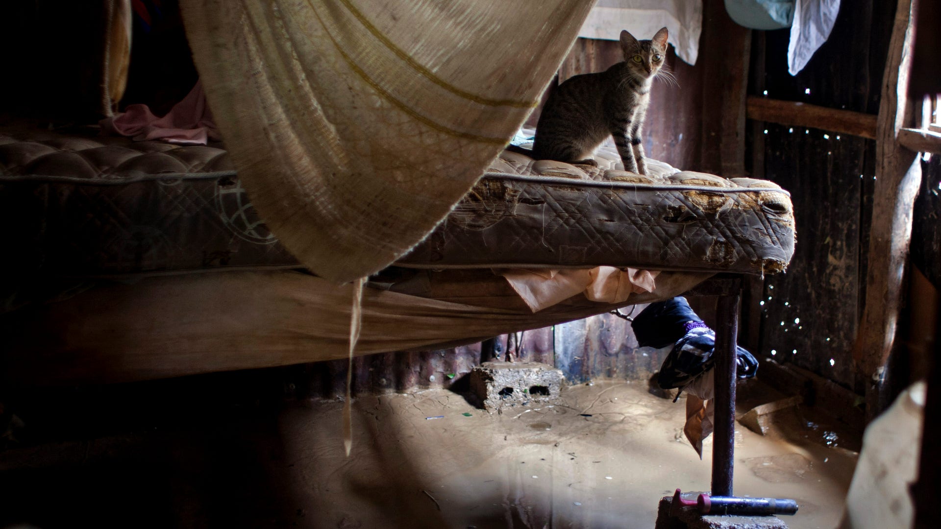 Haiti_Isaac_Grat__9_