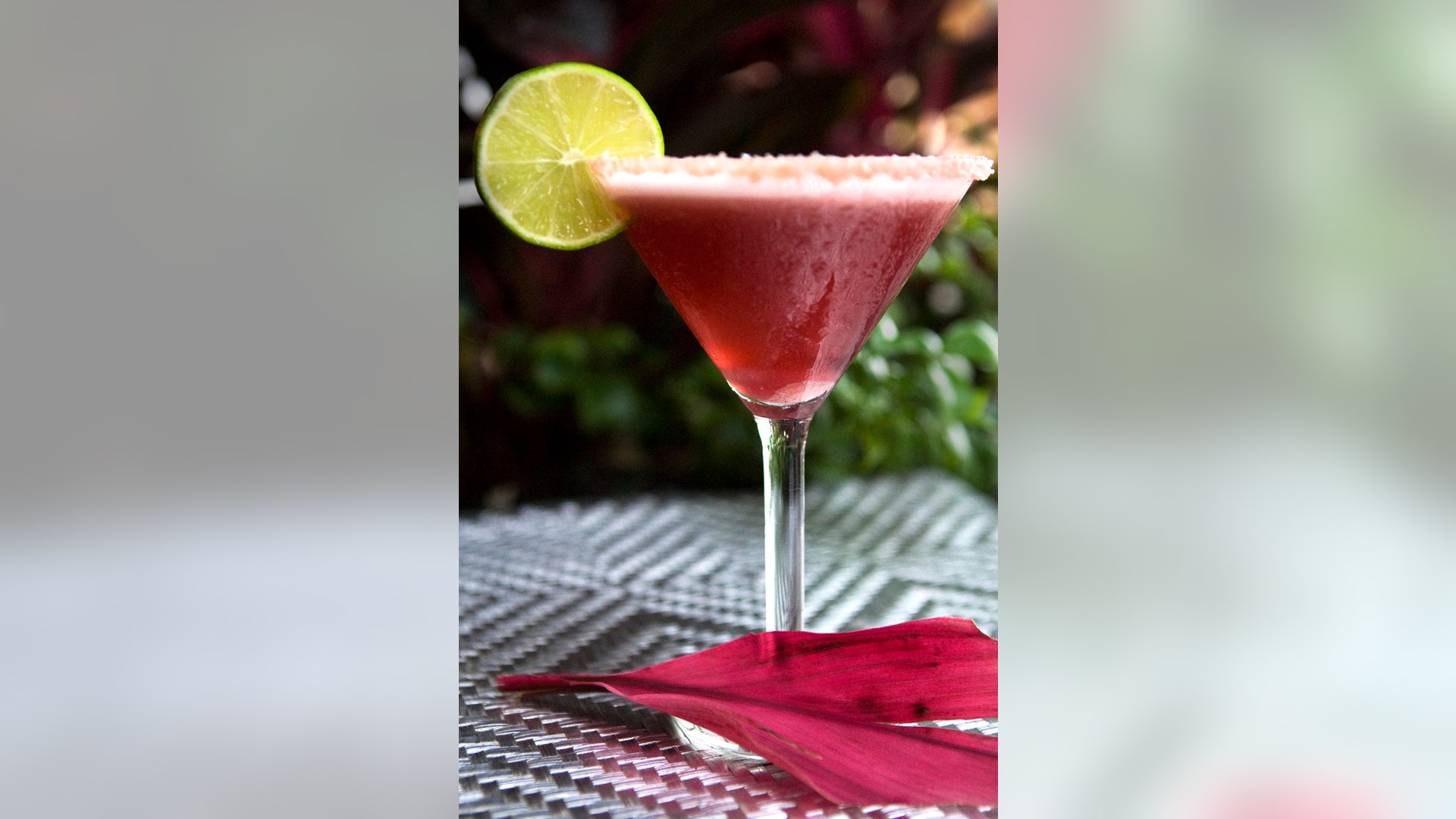 Hibiscus_Margarita