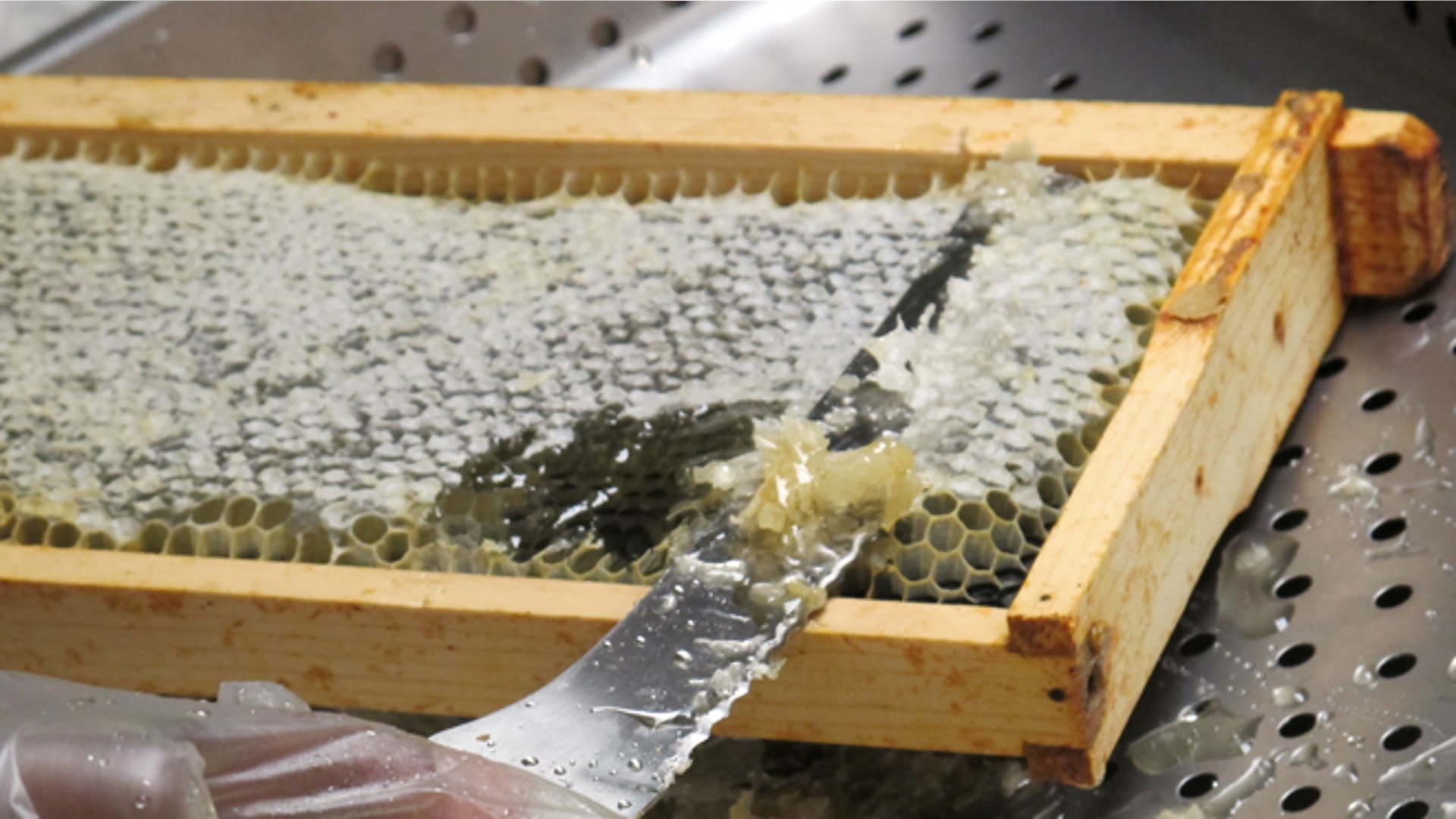 Honeyextraction