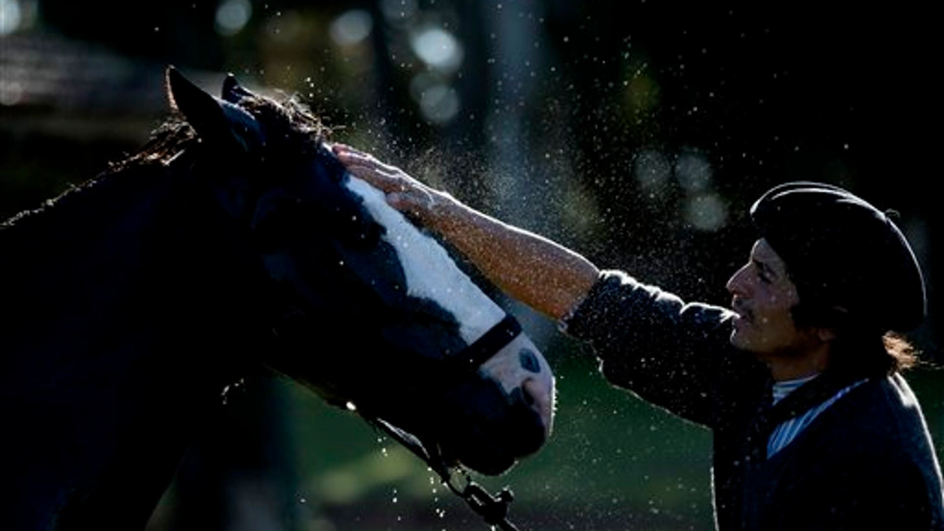 Meet Martin Tatta, Argentina's Horse Whisperer Fox News