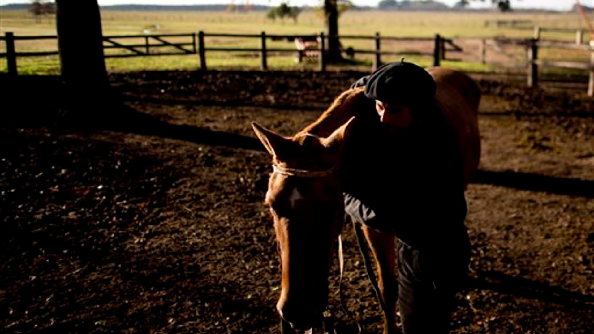 Meet Martin Tatta, Argentina's Horse Whisperer Fox News