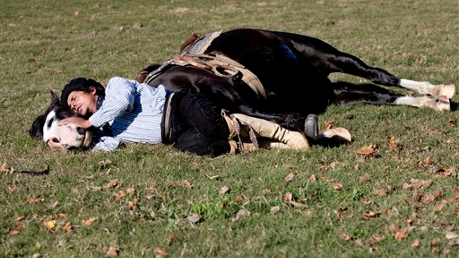 Meet Martin Tatta, Argentina's Horse Whisperer Fox News