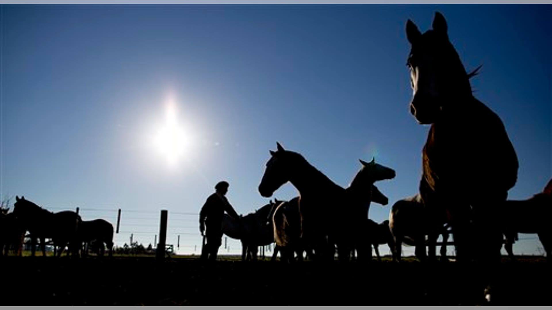 Meet Martin Tatta, Argentina's Horse Whisperer Fox News