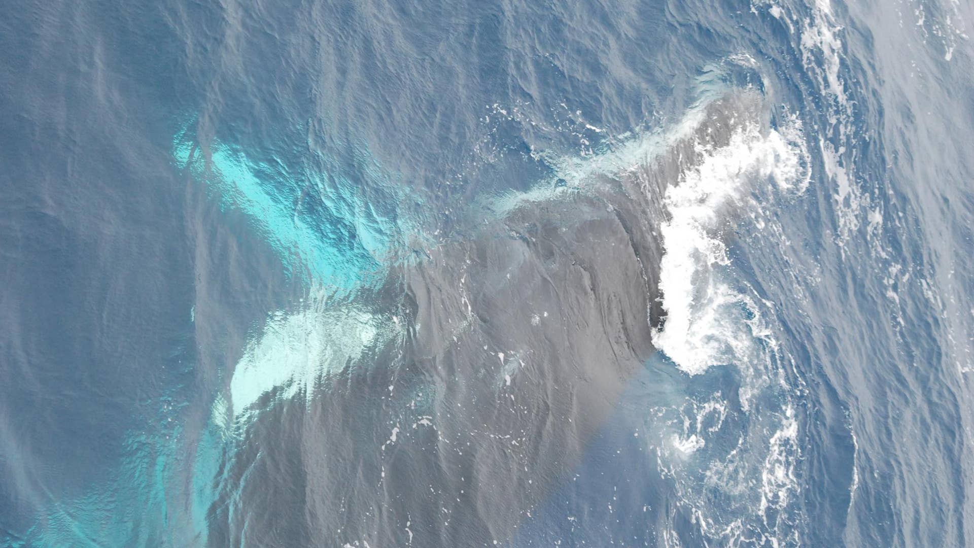 Lost World Antarctica: Humpback whale with eye ADR
