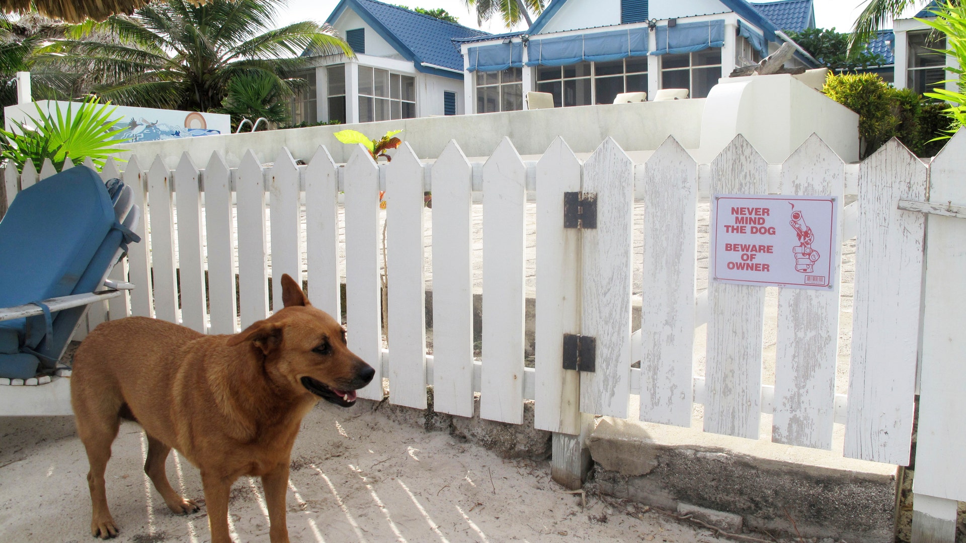 Hunt_for_McAfee_Belize_AP_3