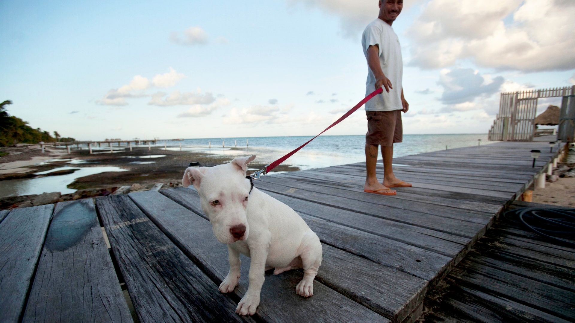 Hunt_for_McAfee_Belize_AP