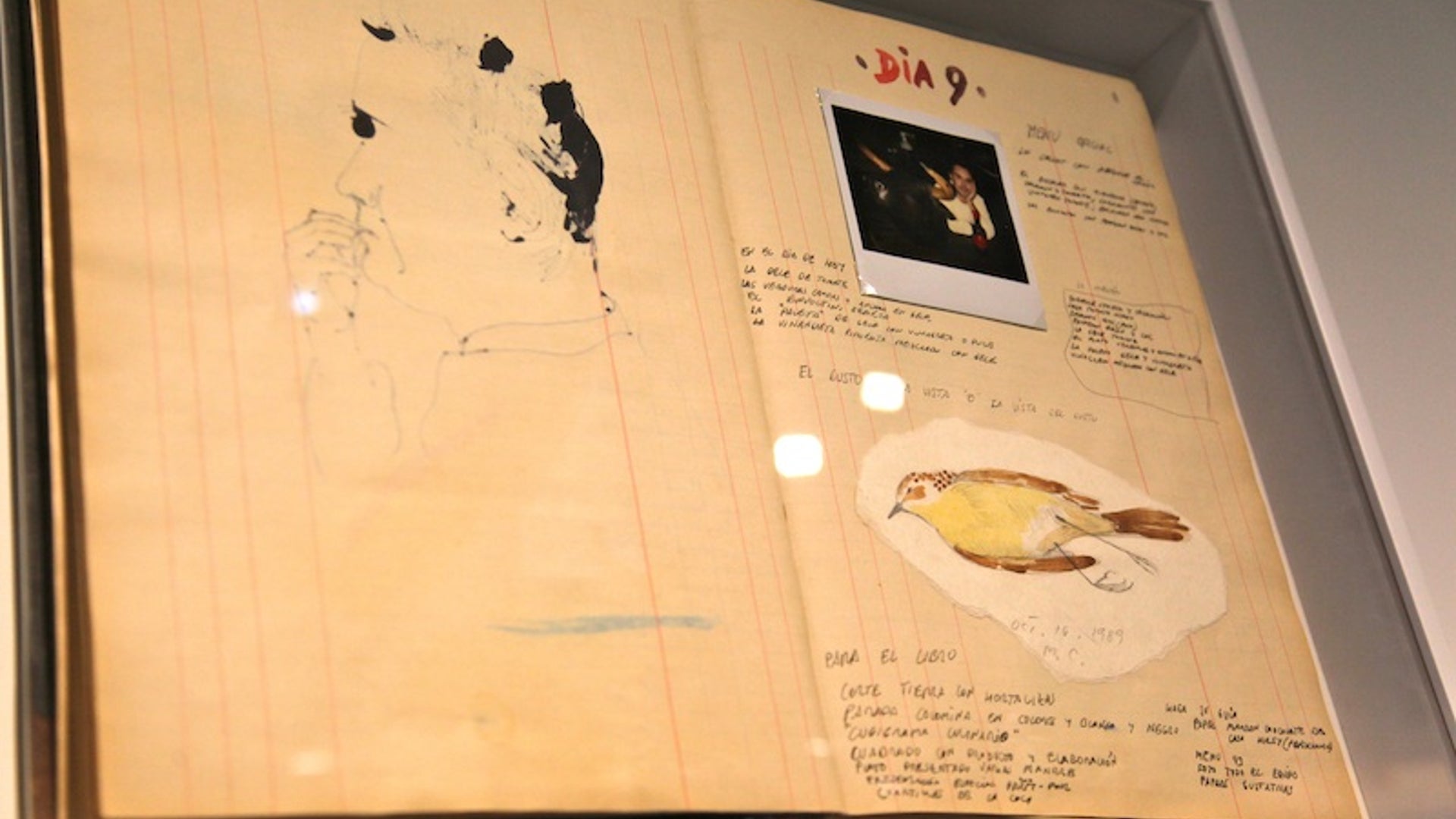 I_don_t_know_why_I_documented_everything