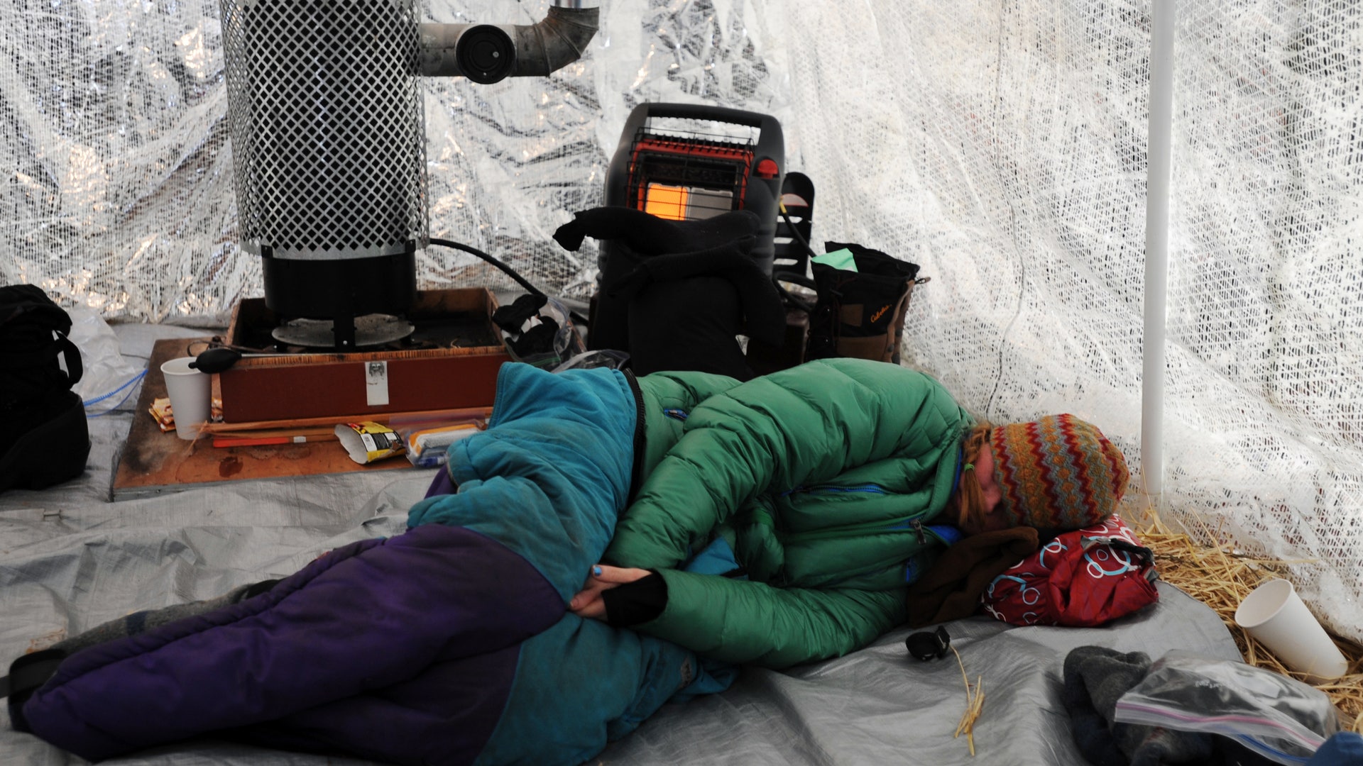 Iditarod_Sled_Dog_Rac_Hein