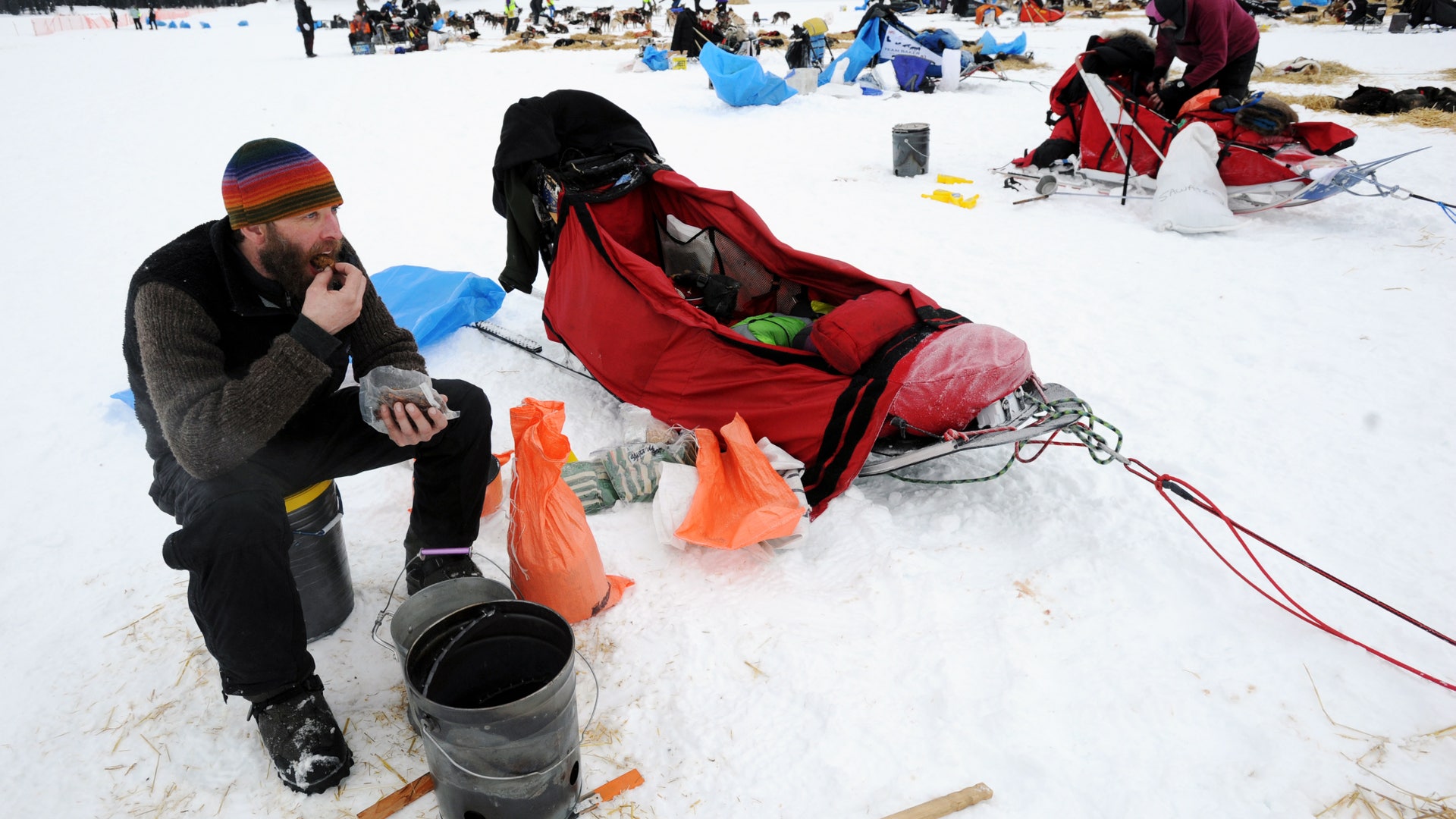 Iditarod_Sled_Dog_Rac_Hein_8_