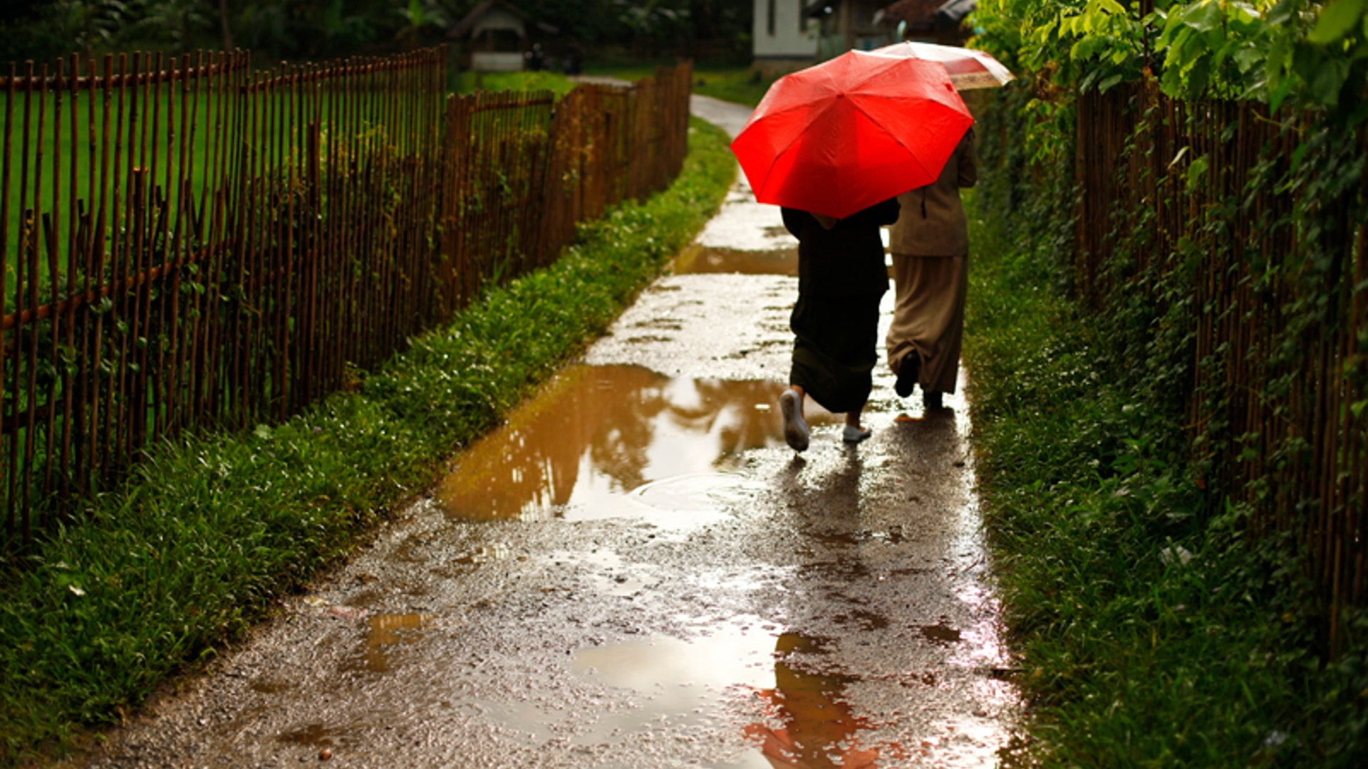 Indonesia_Bridge__5_
