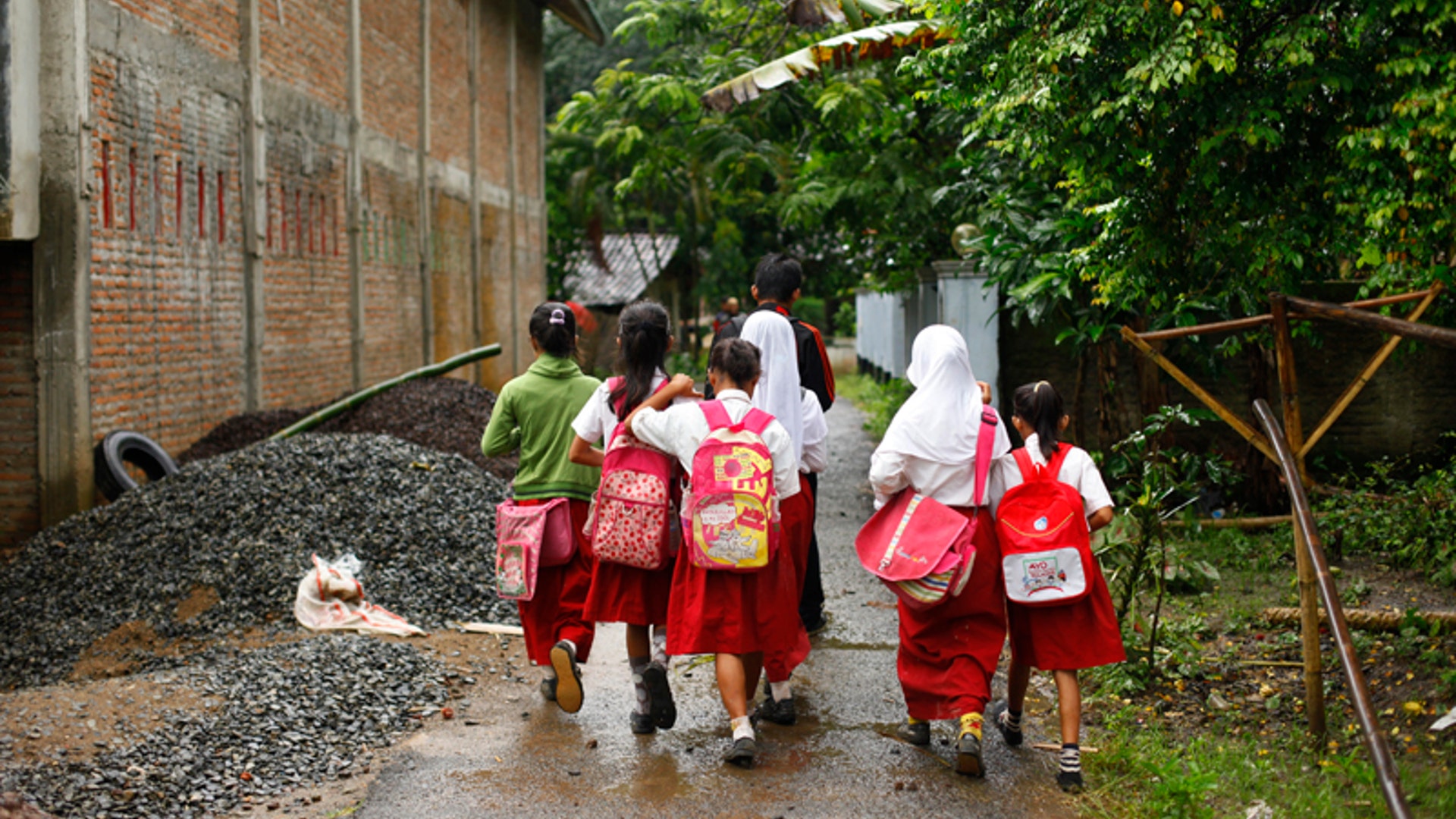 Indonesia_Bridge__8_