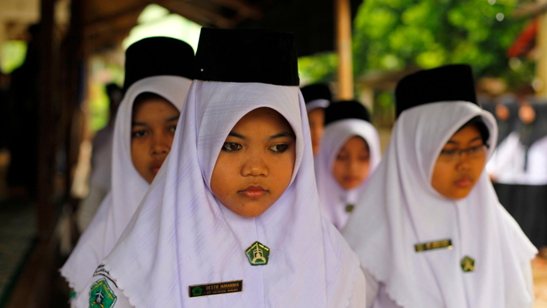 Indonesia_Bridge__9_