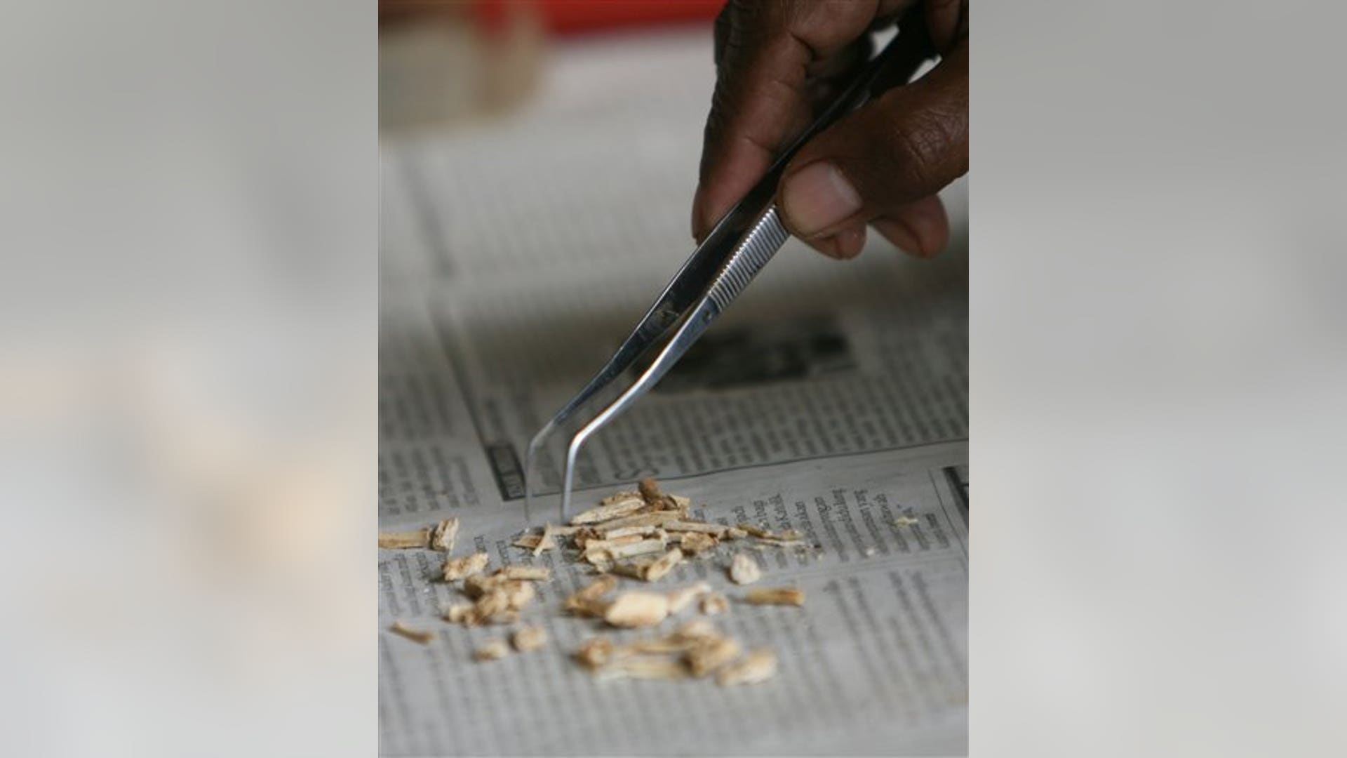 Bones Found Near Hobbit