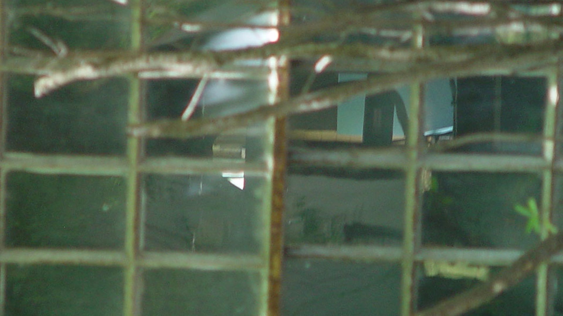 Dusty, Scratched-up Windows