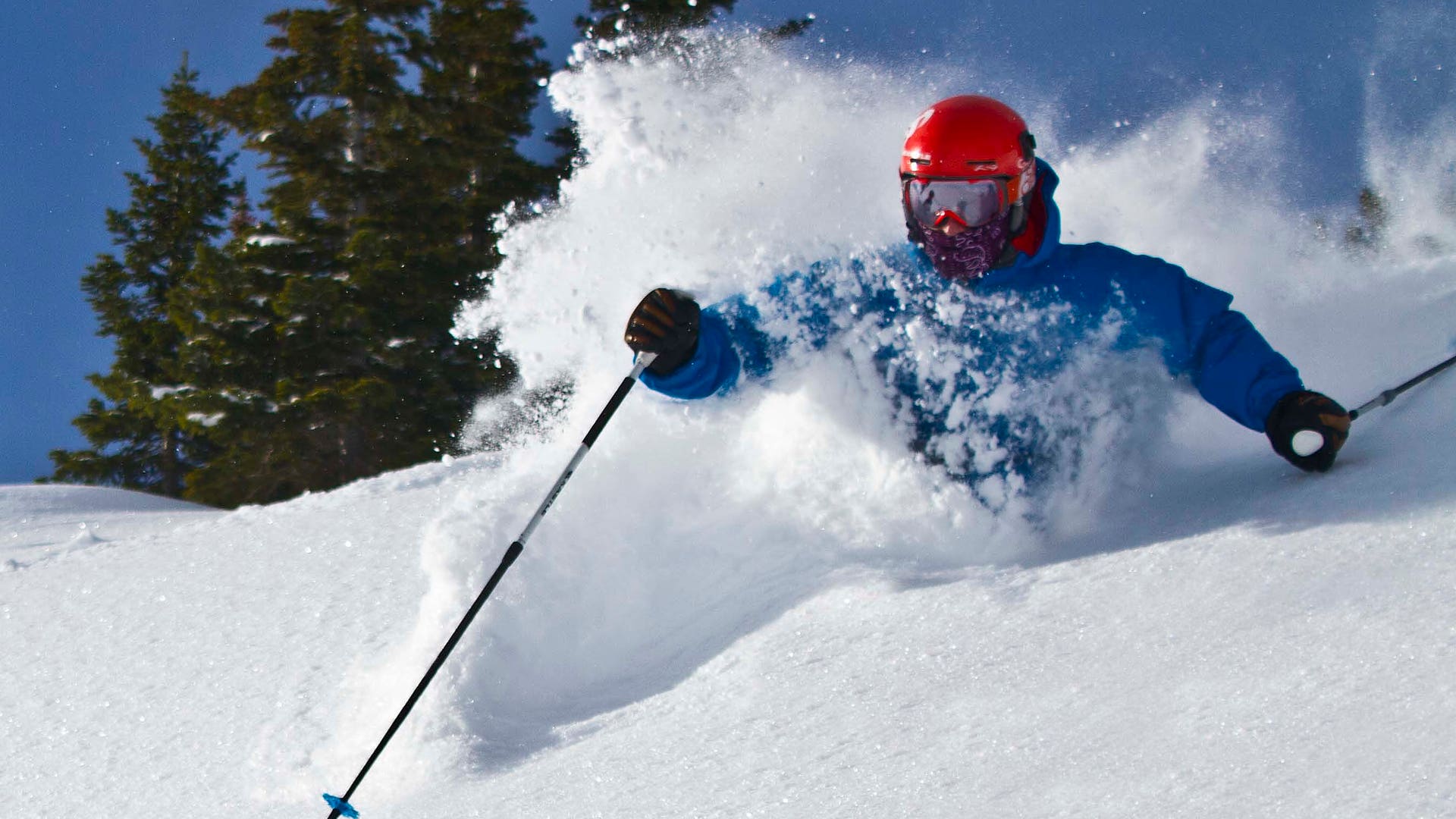 JacksonHolePowderShot