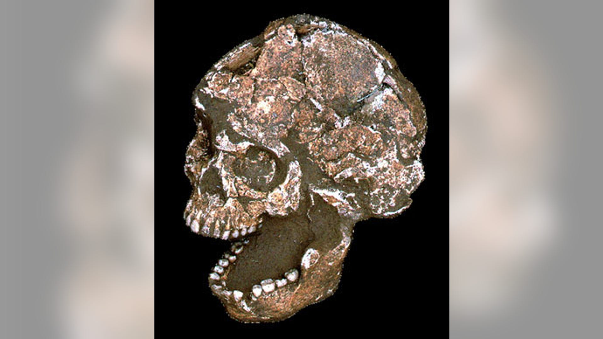 Jamestown_reconstruction_1