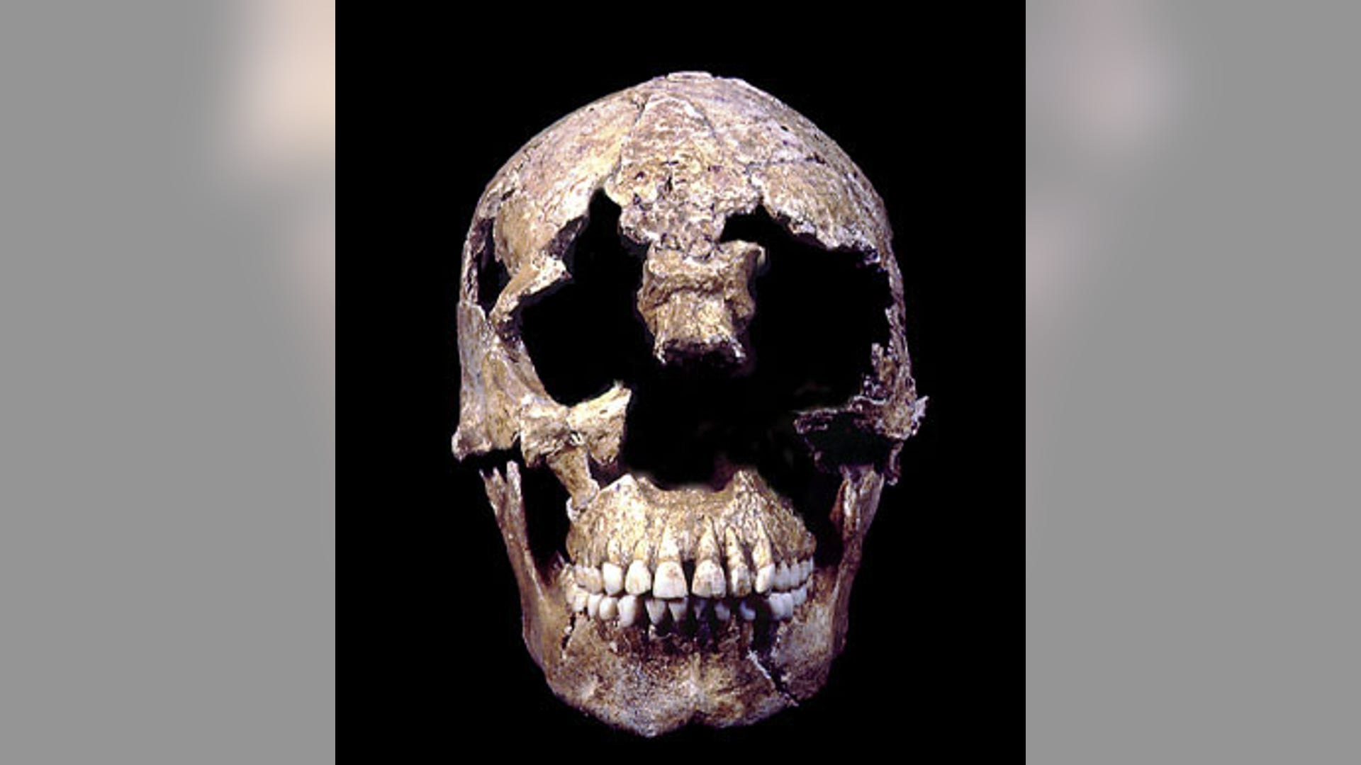 Jamestown_reconstruction_2