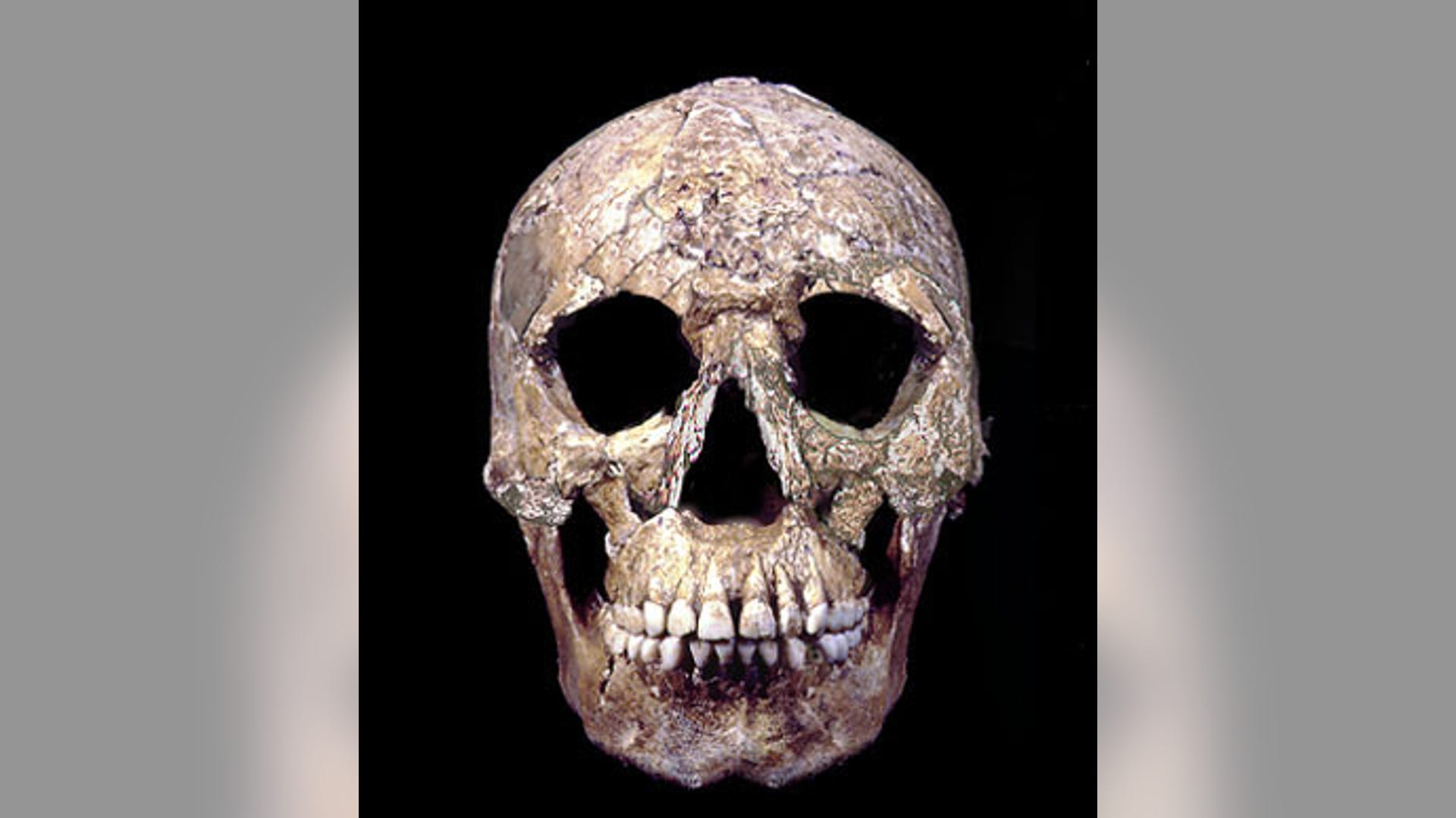 Jamestown_reconstruction_3