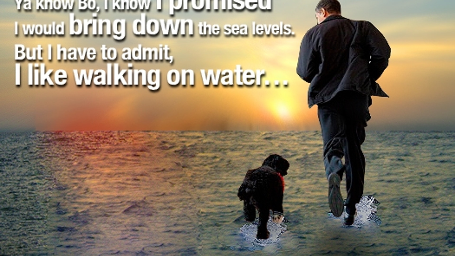 Politicians and Pooches